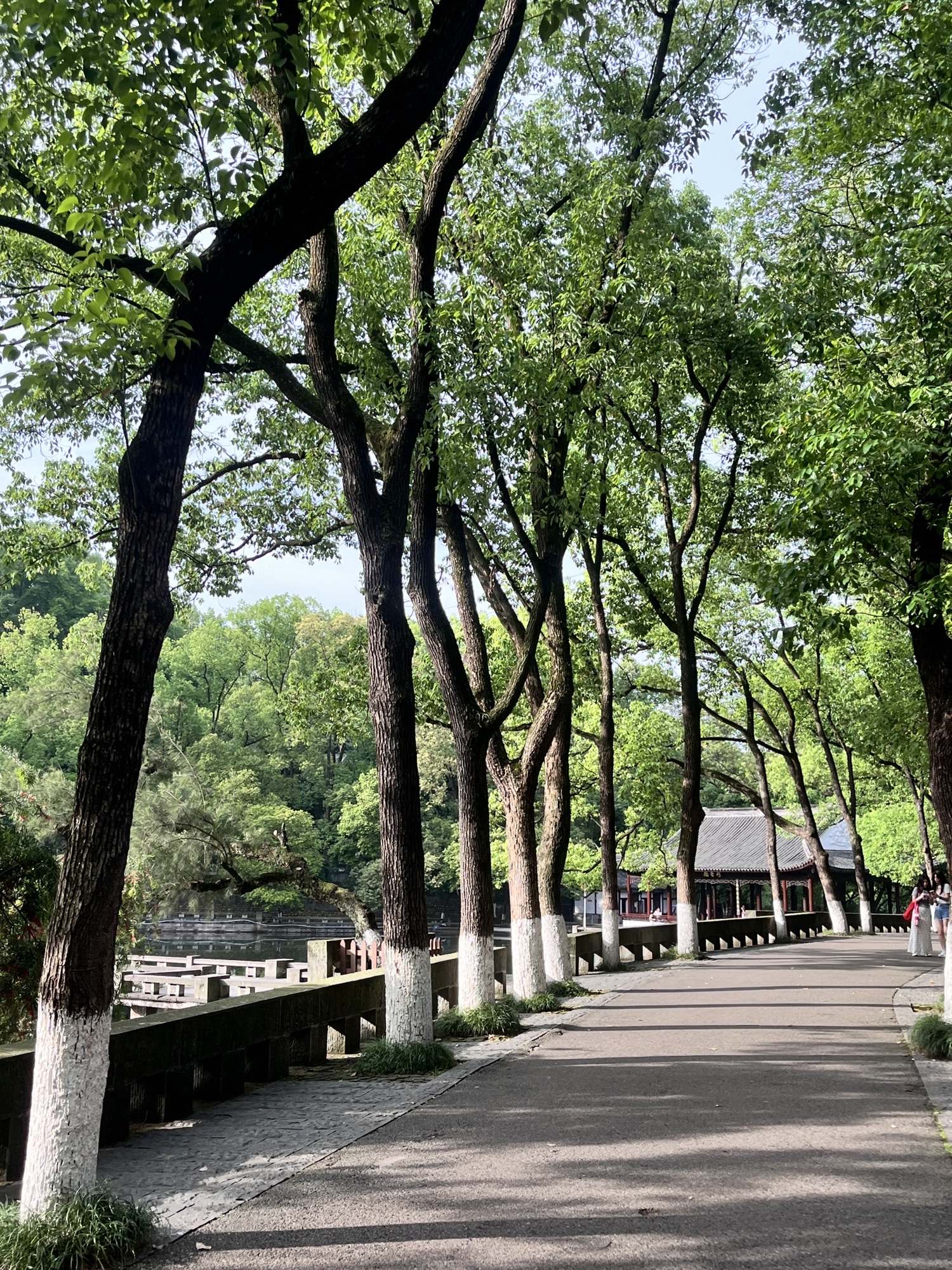 忠山公园旅行图片 2