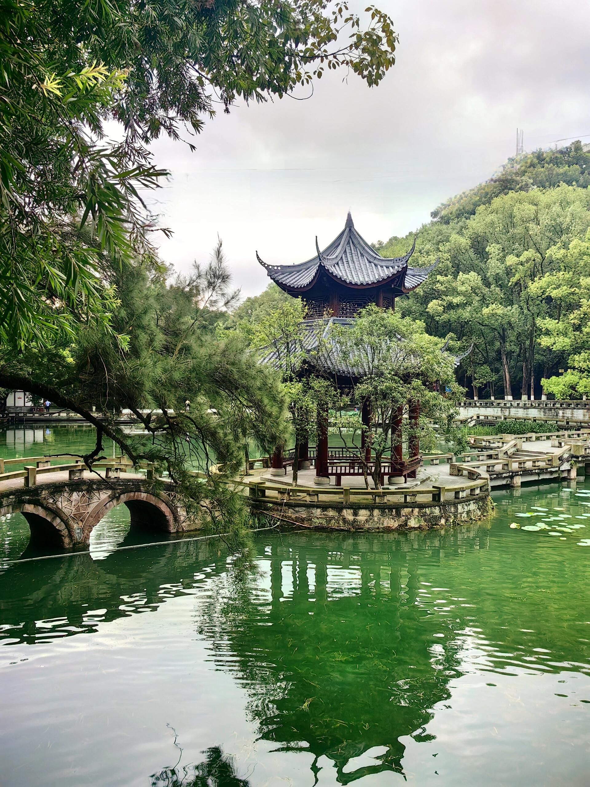 忠山公园旅行图片 3