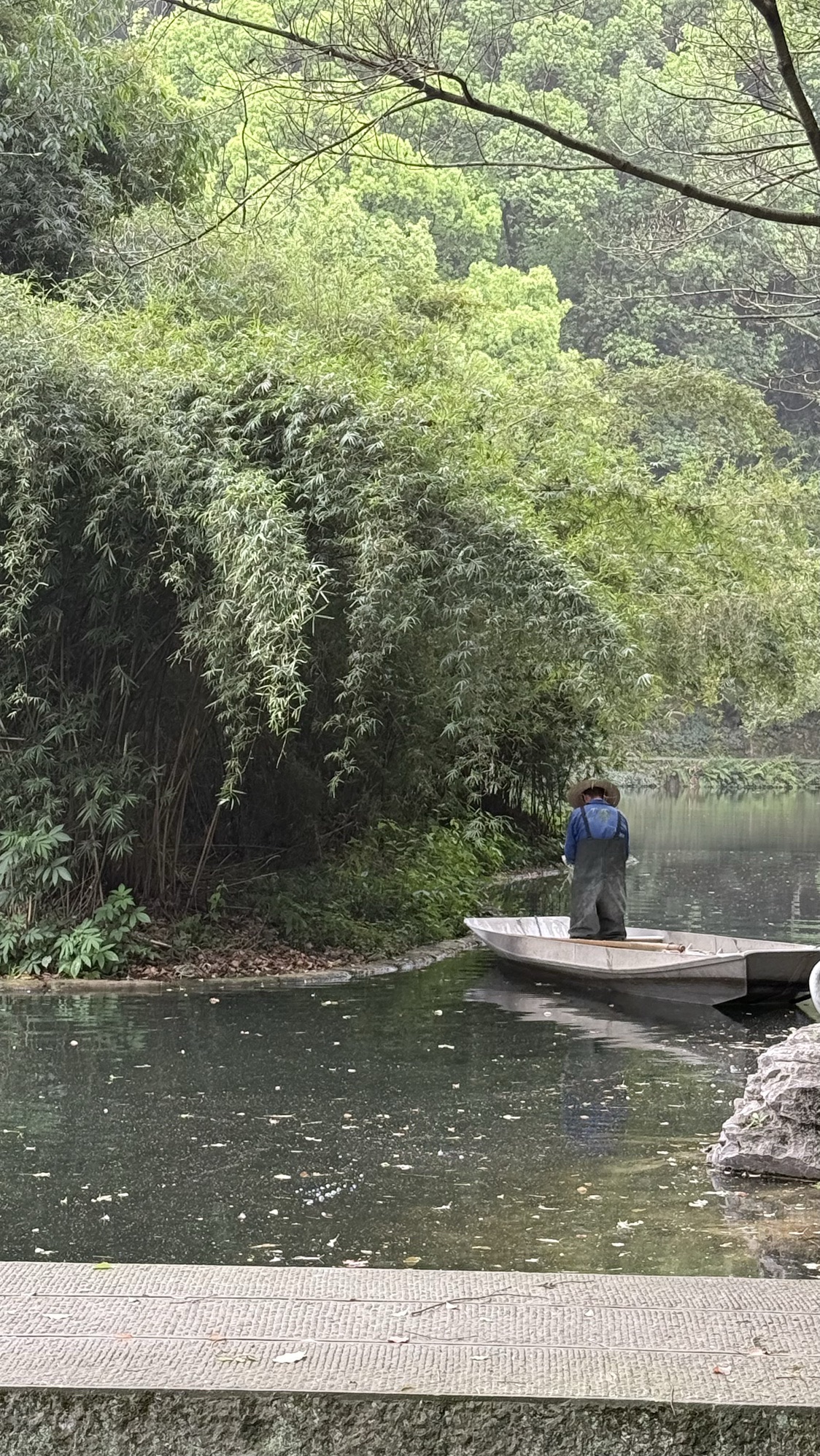 忠山公园旅行图片 2