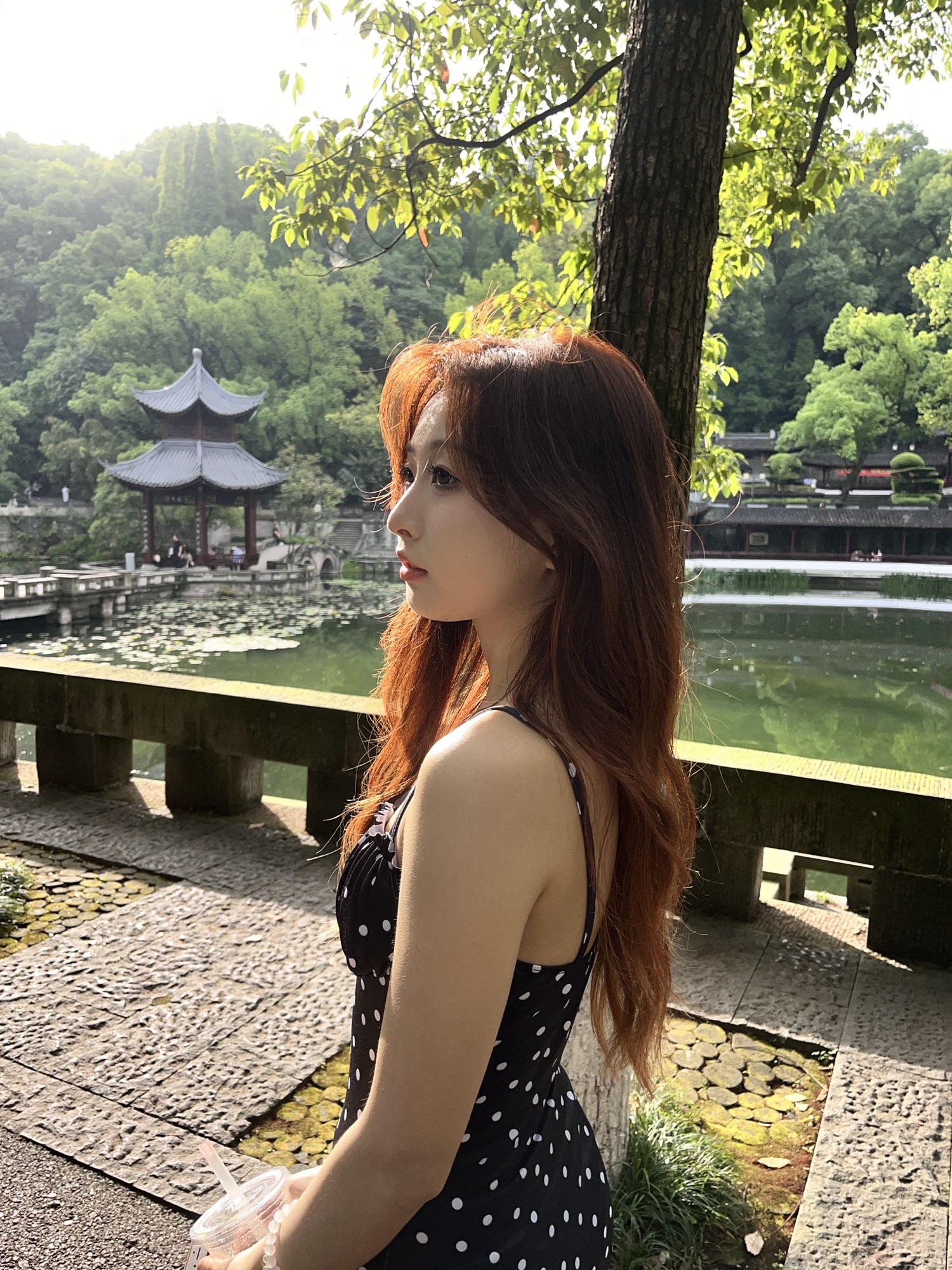 忠山公园旅行图片 3