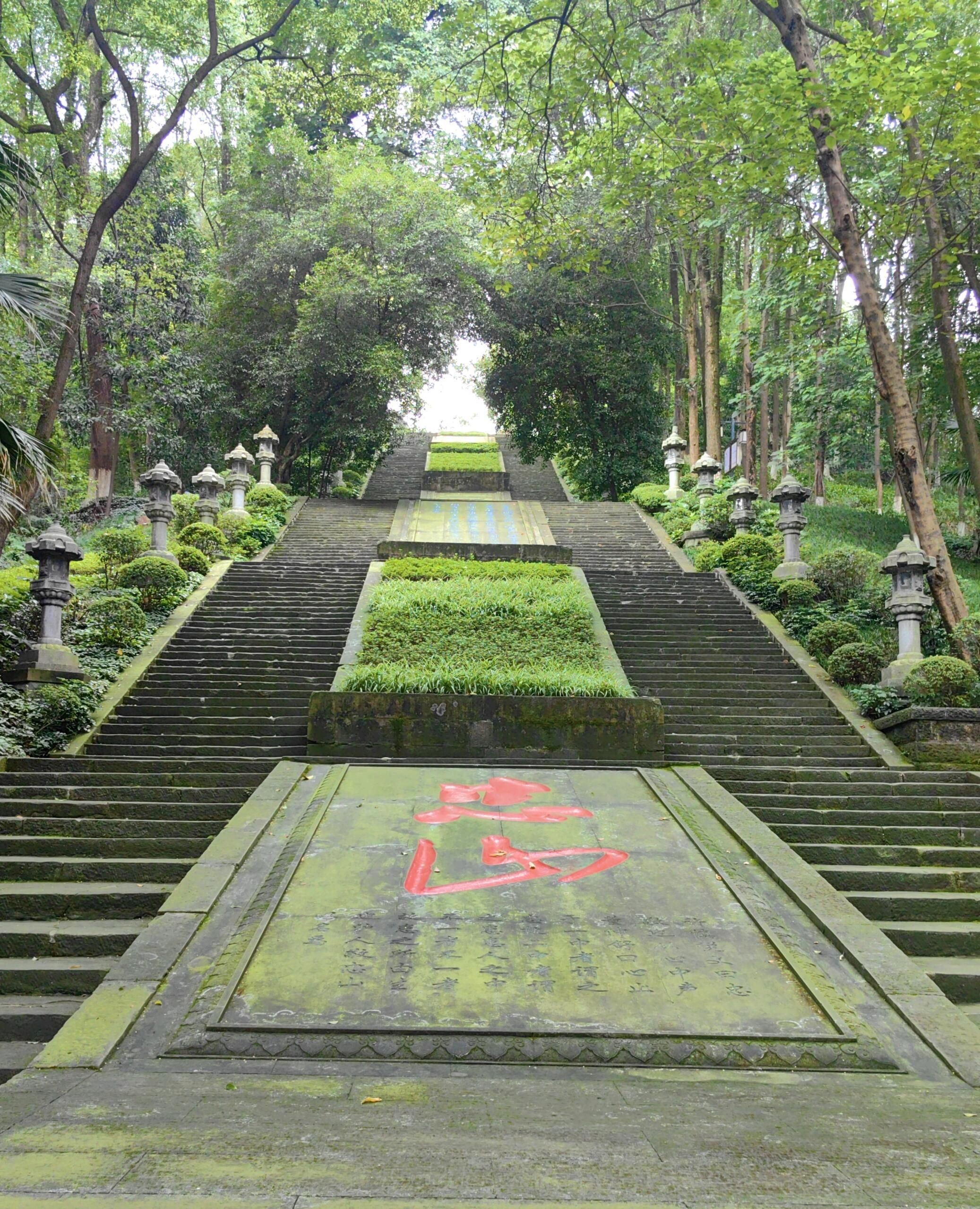 忠山公园旅行图片 1