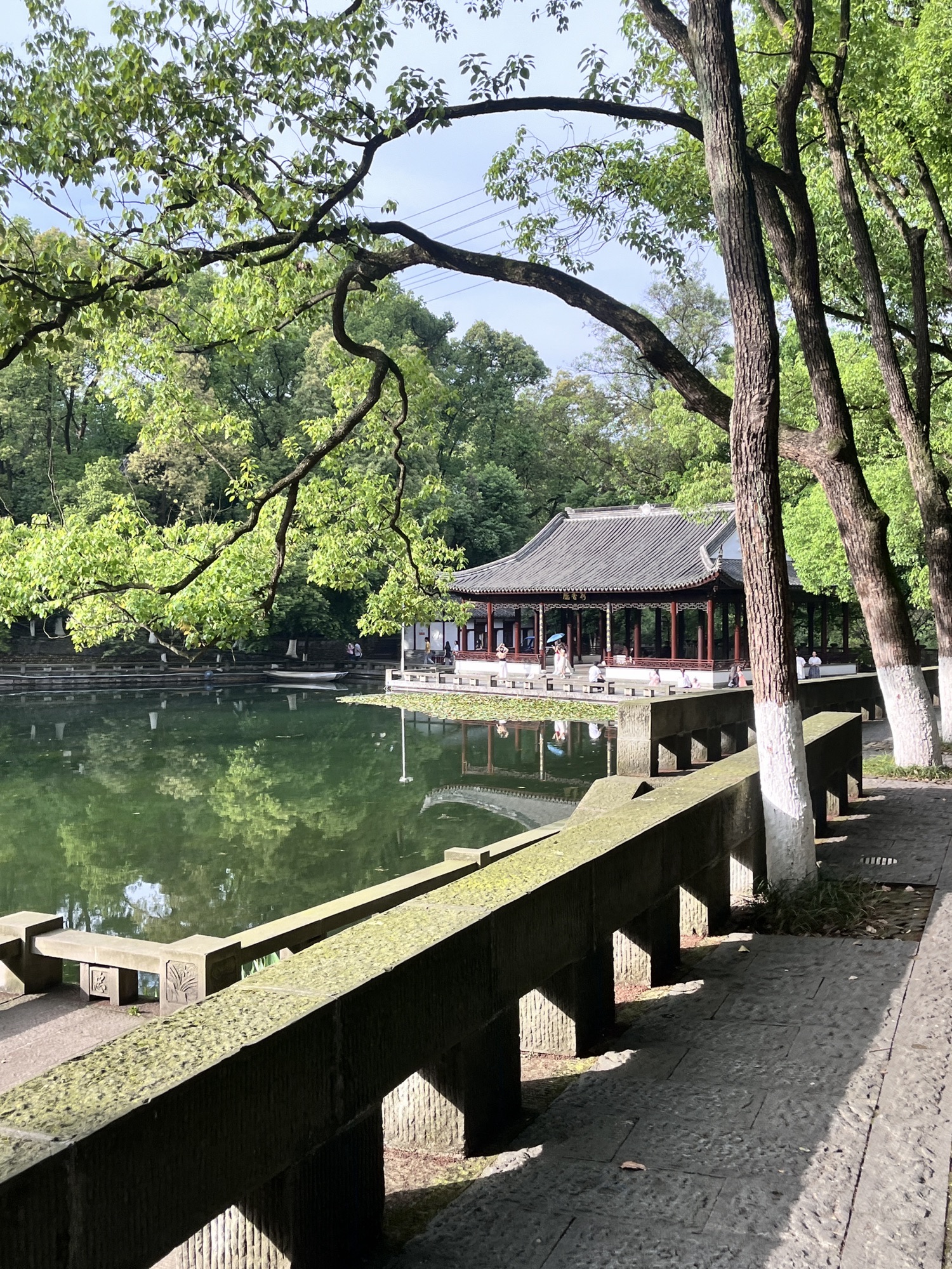 忠山公园旅行图片 1