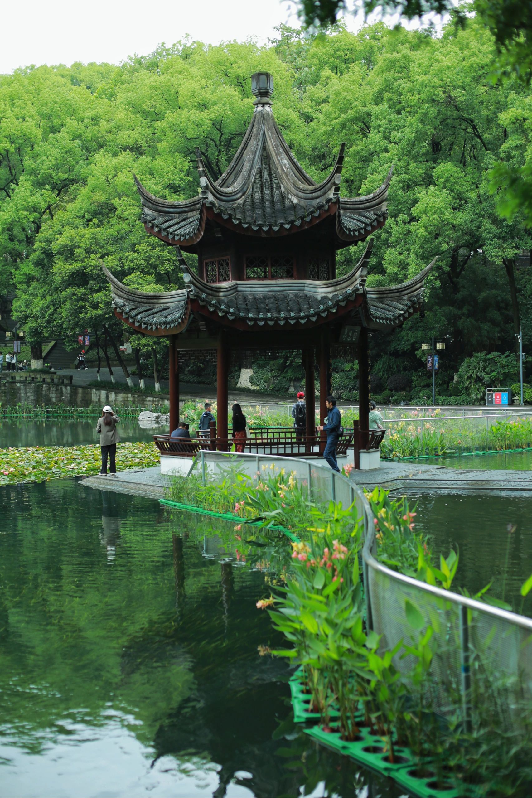 忠山公园旅行图片 1