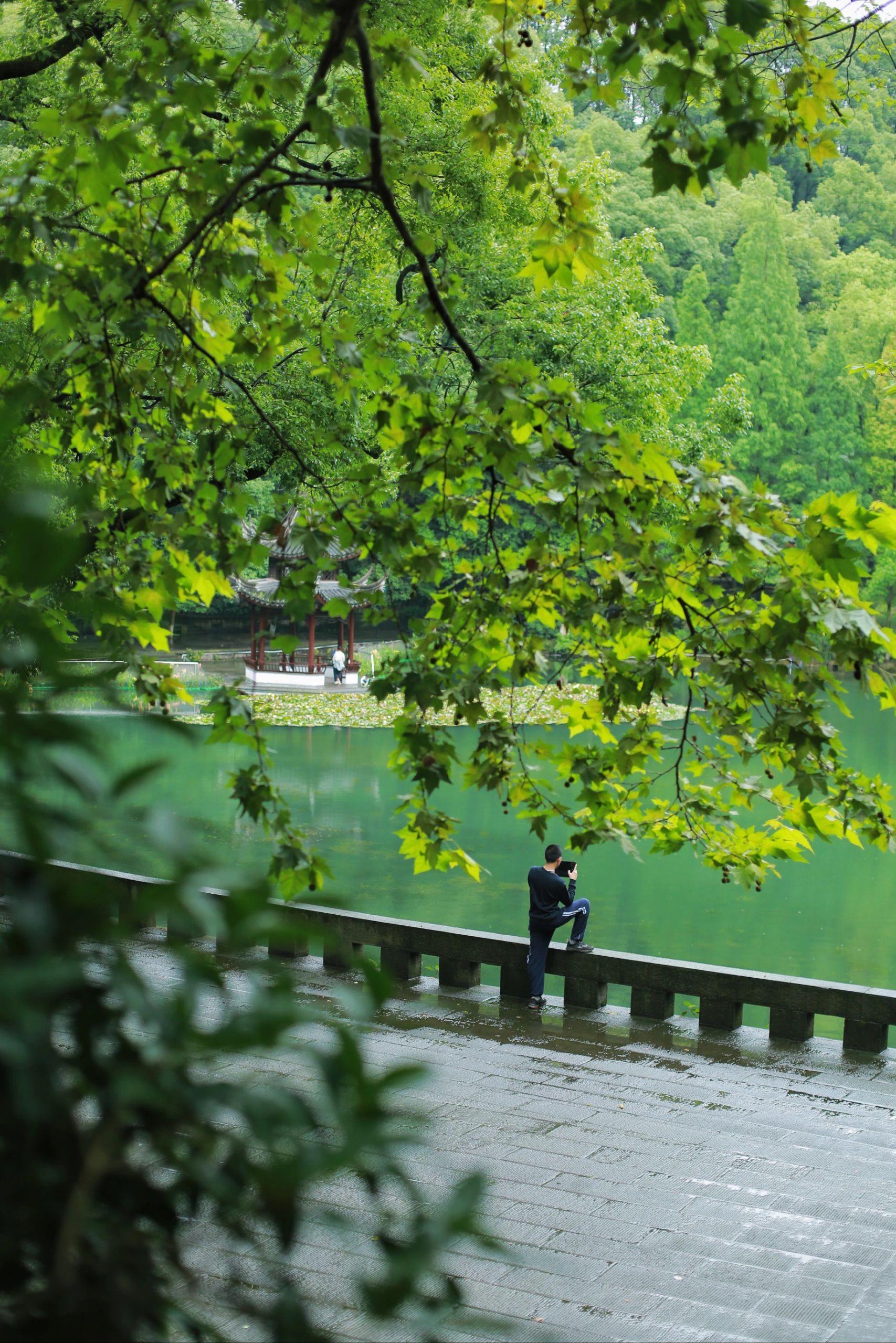 忠山公园旅行图片 3