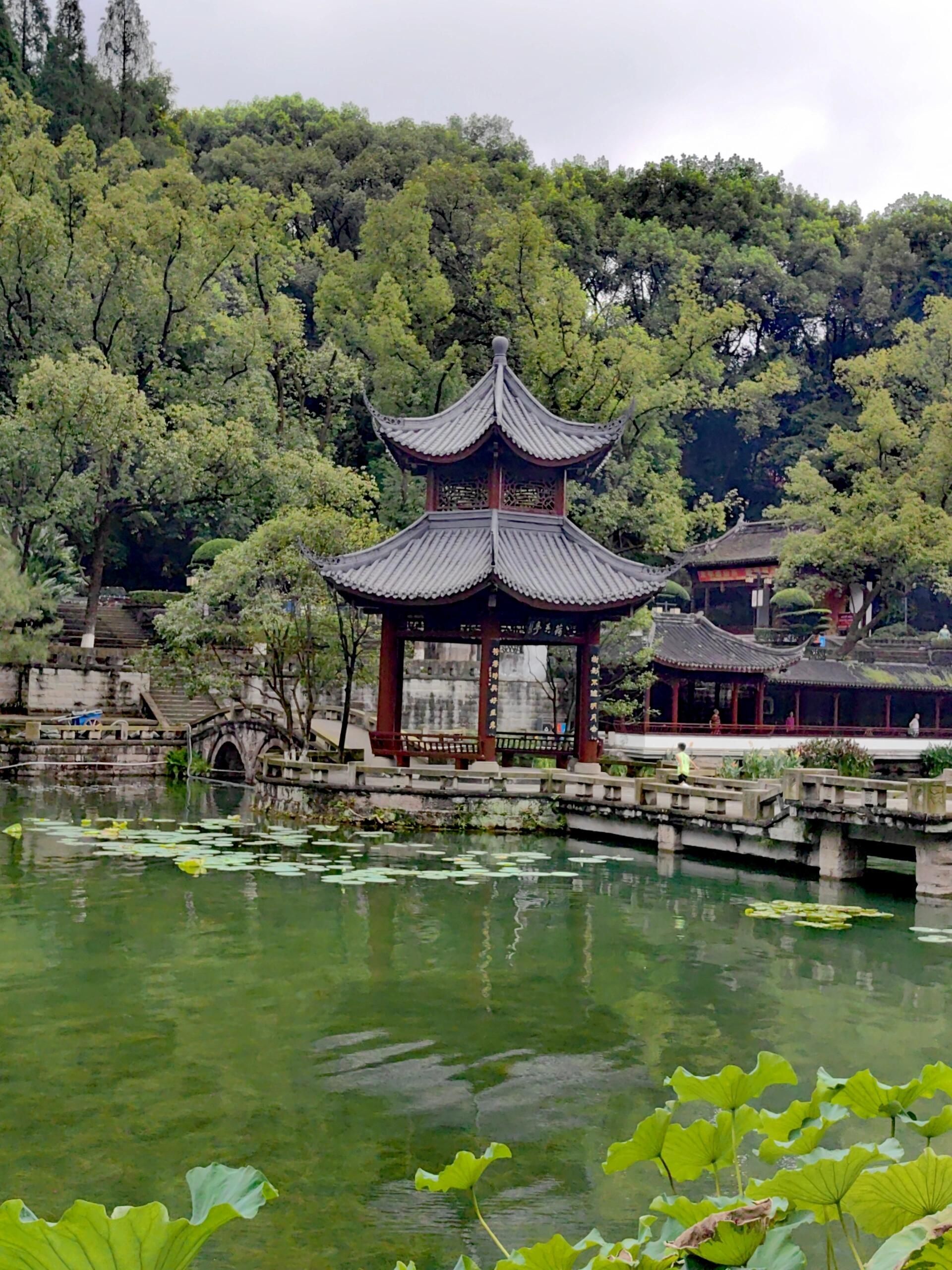 忠山公园旅行图片 2