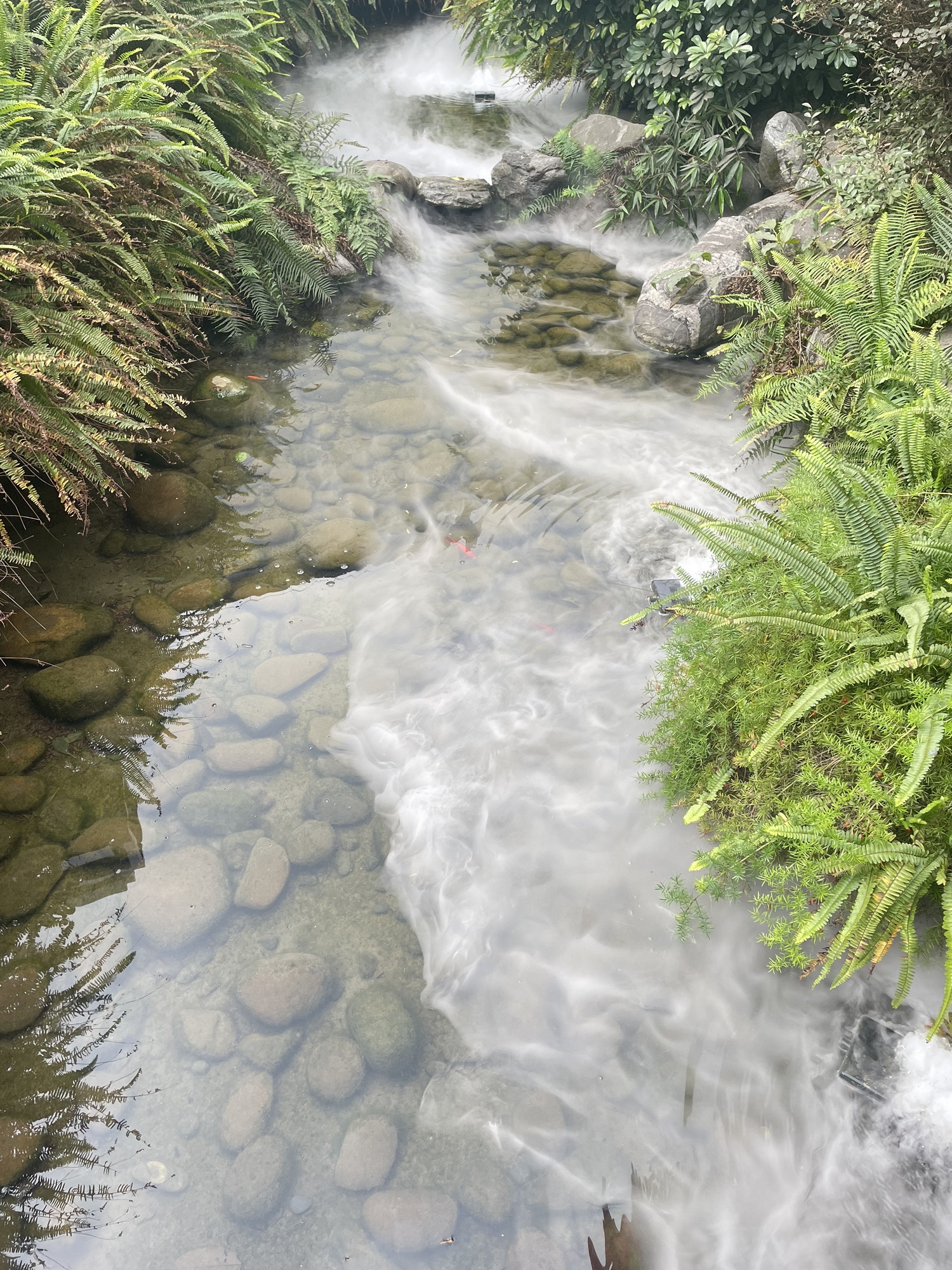 泸州老窖旅游景区旅行图片 2