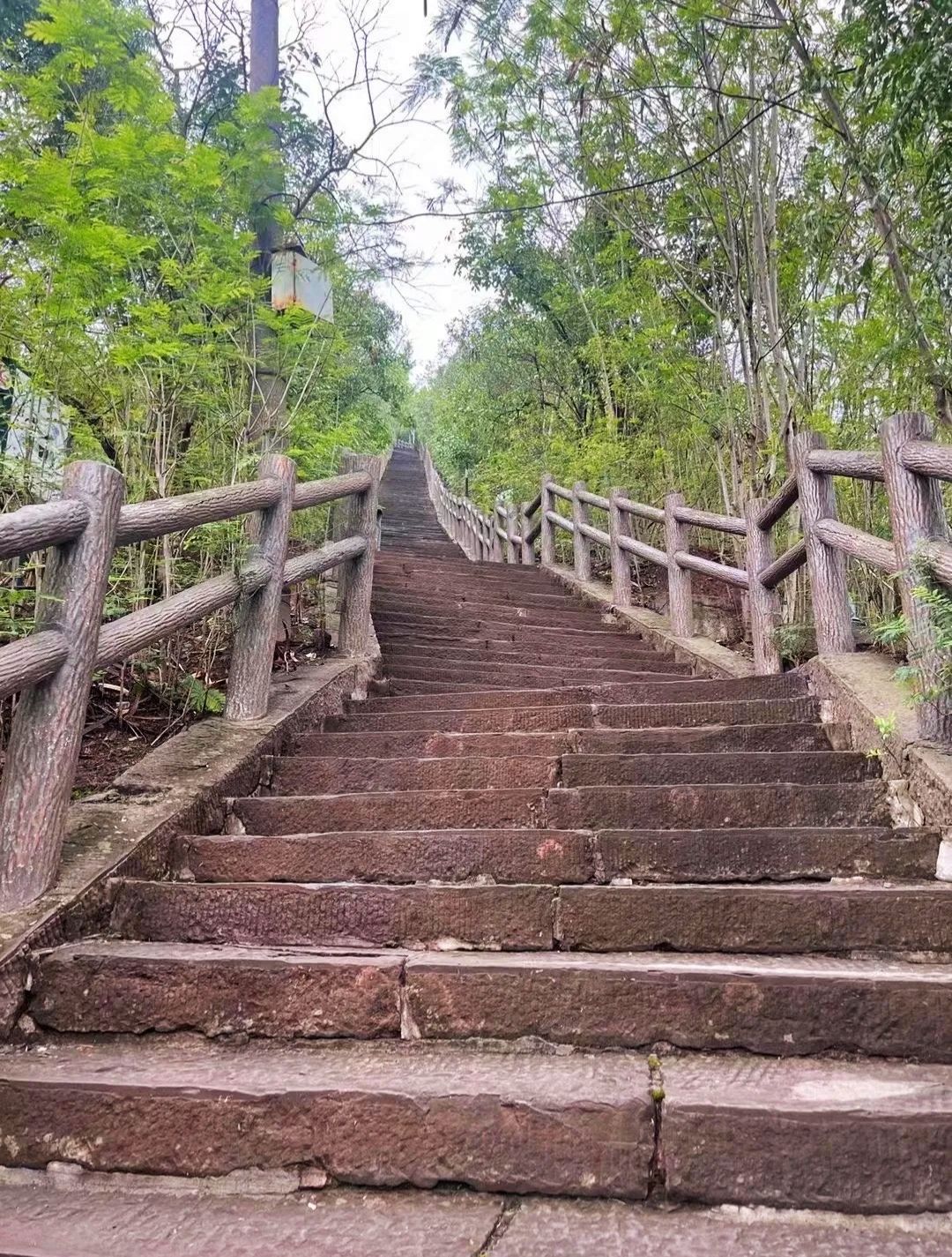 火星山森林公园旅行图片 2
