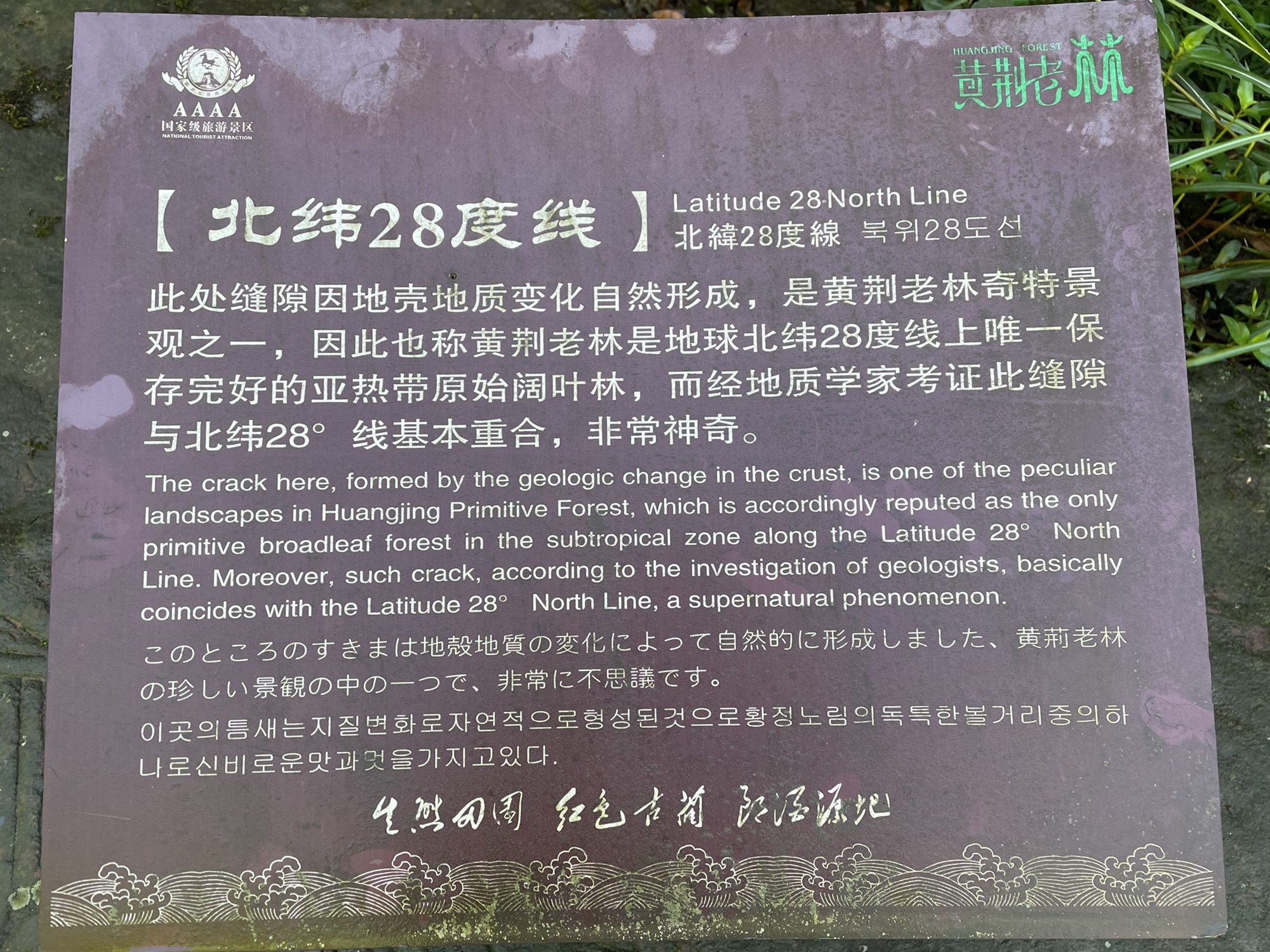 黄荆老林(装修中)旅行图片 3