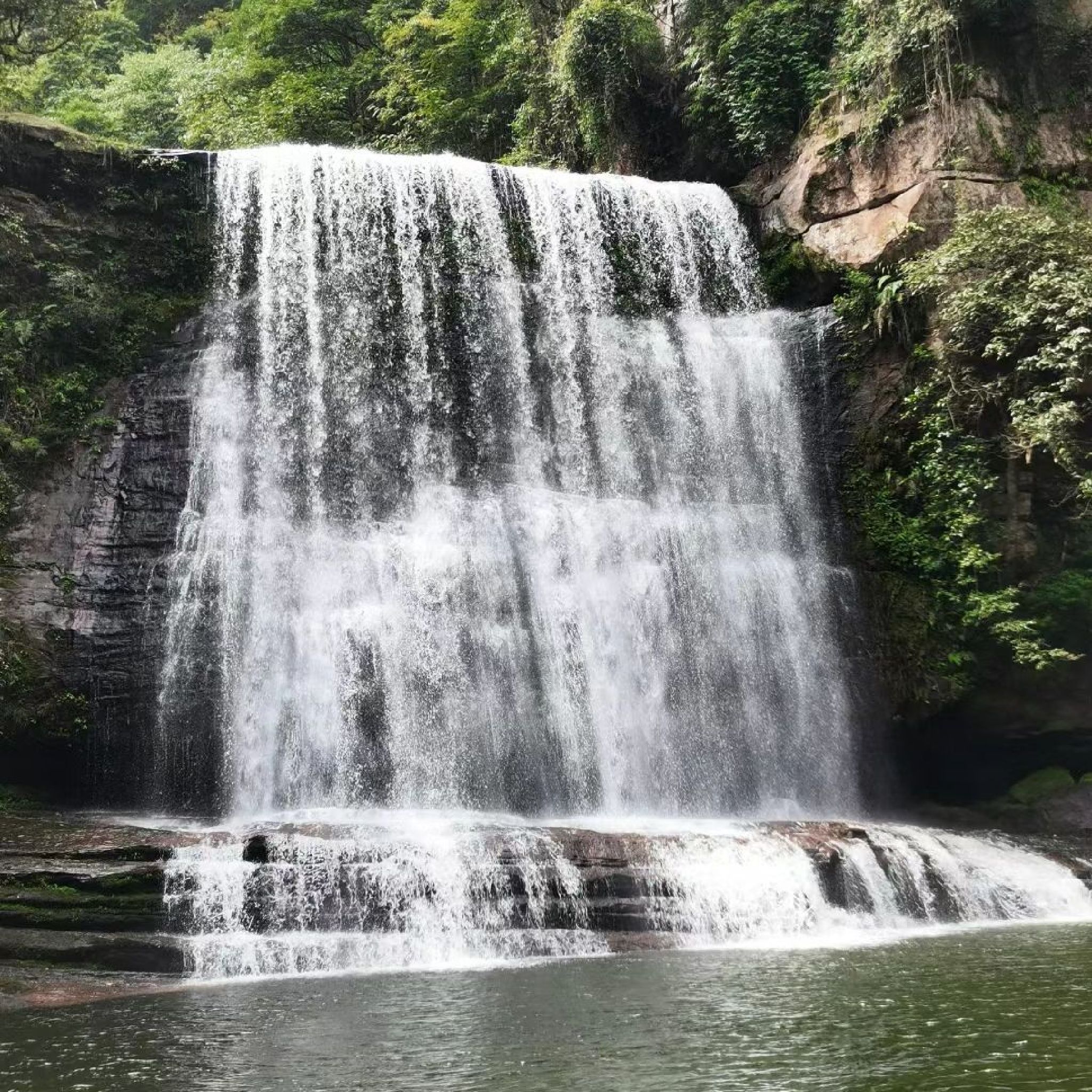 黄荆老林(装修中)旅行图片 1