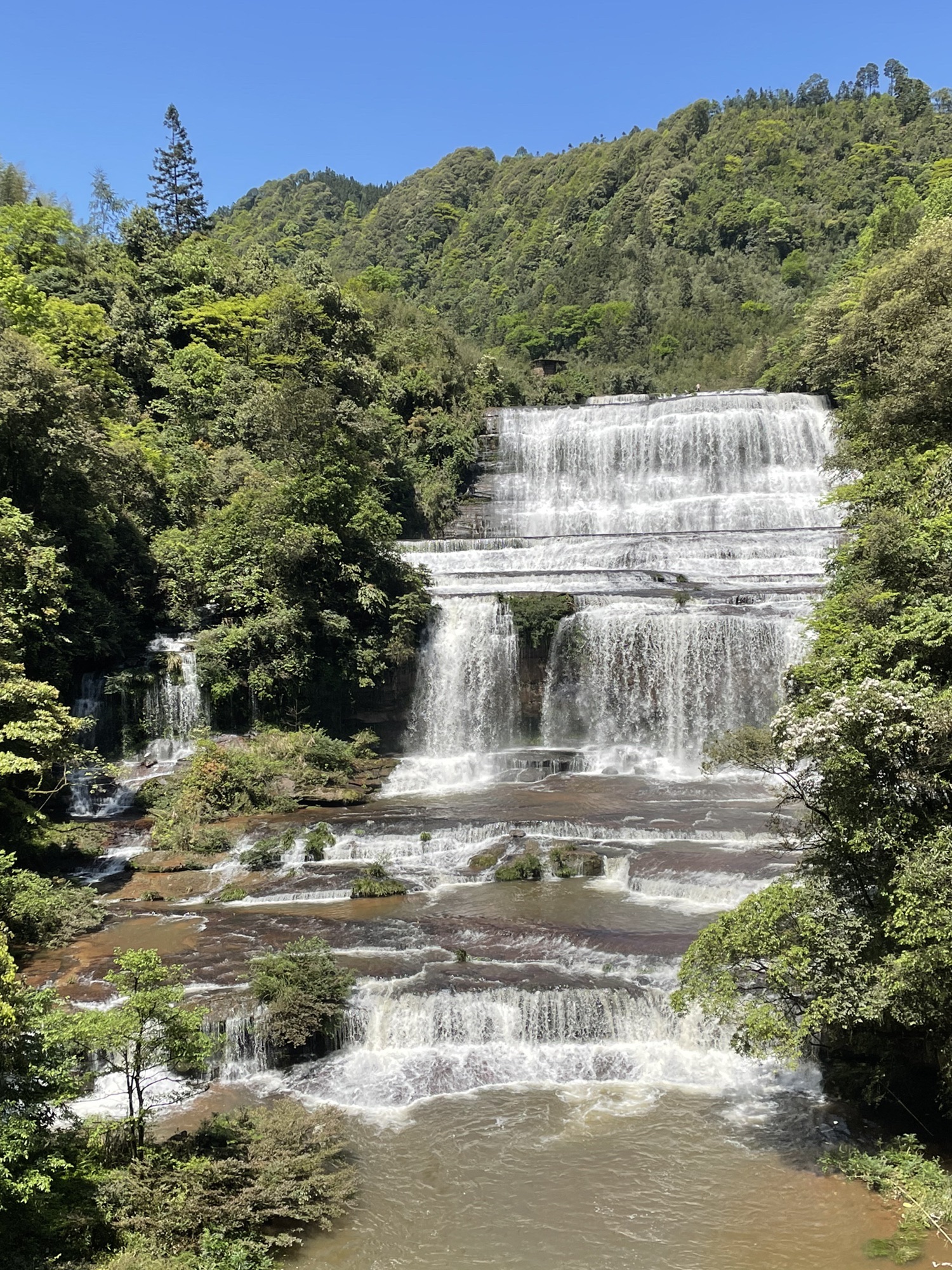 黄荆老林(装修中)旅行图片 1