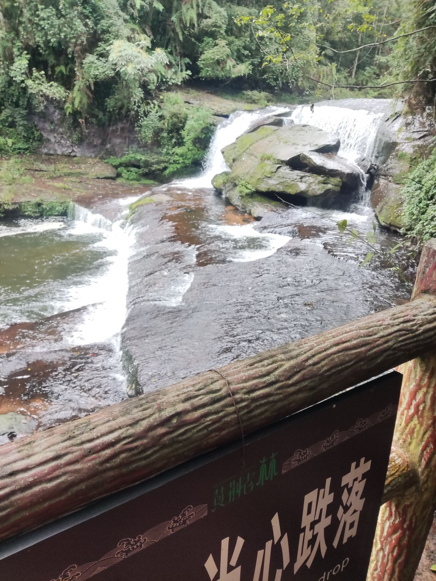 黄荆老林(装修中)旅行图片 3
