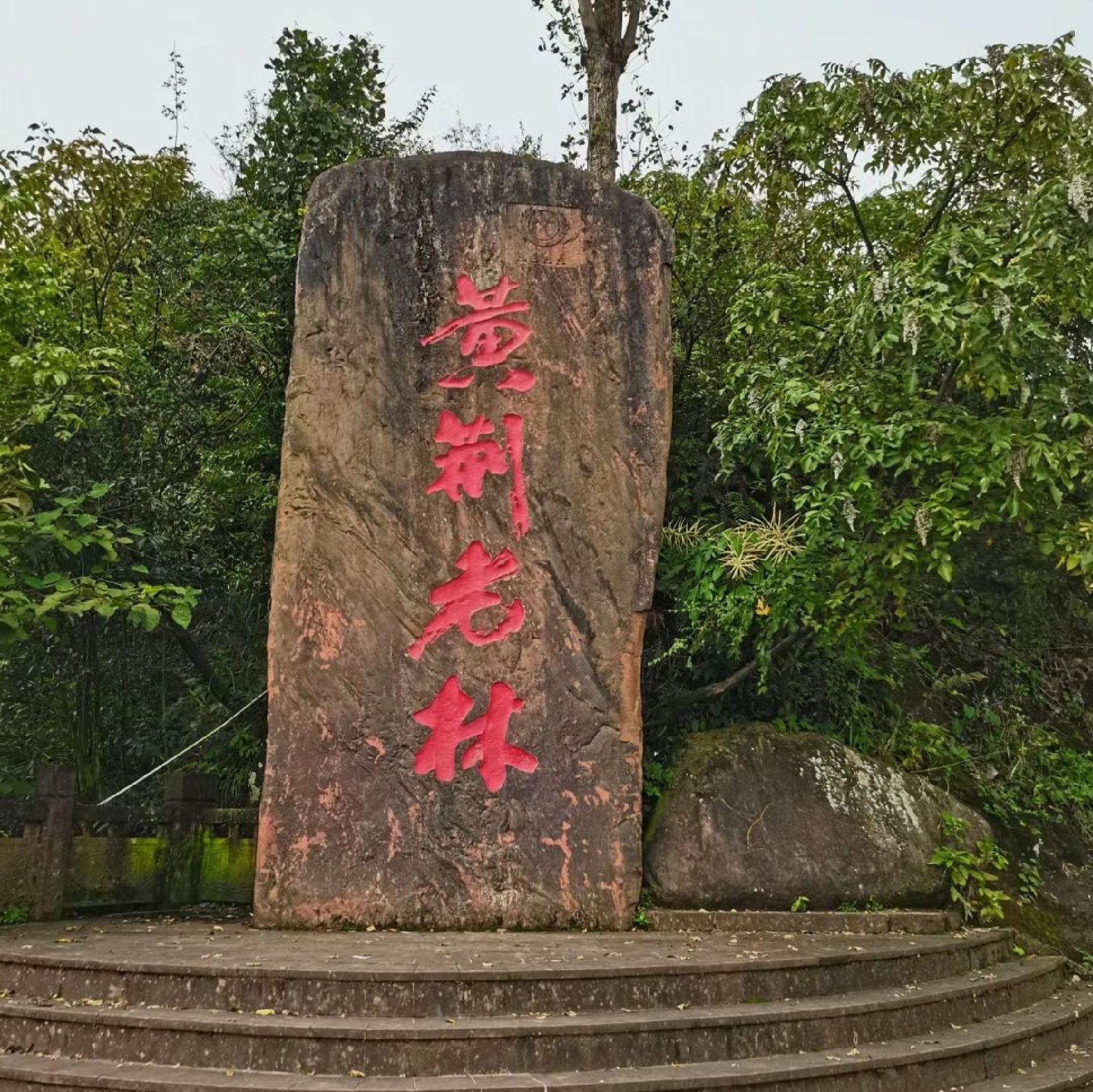 黄荆老林(装修中)旅行图片 2