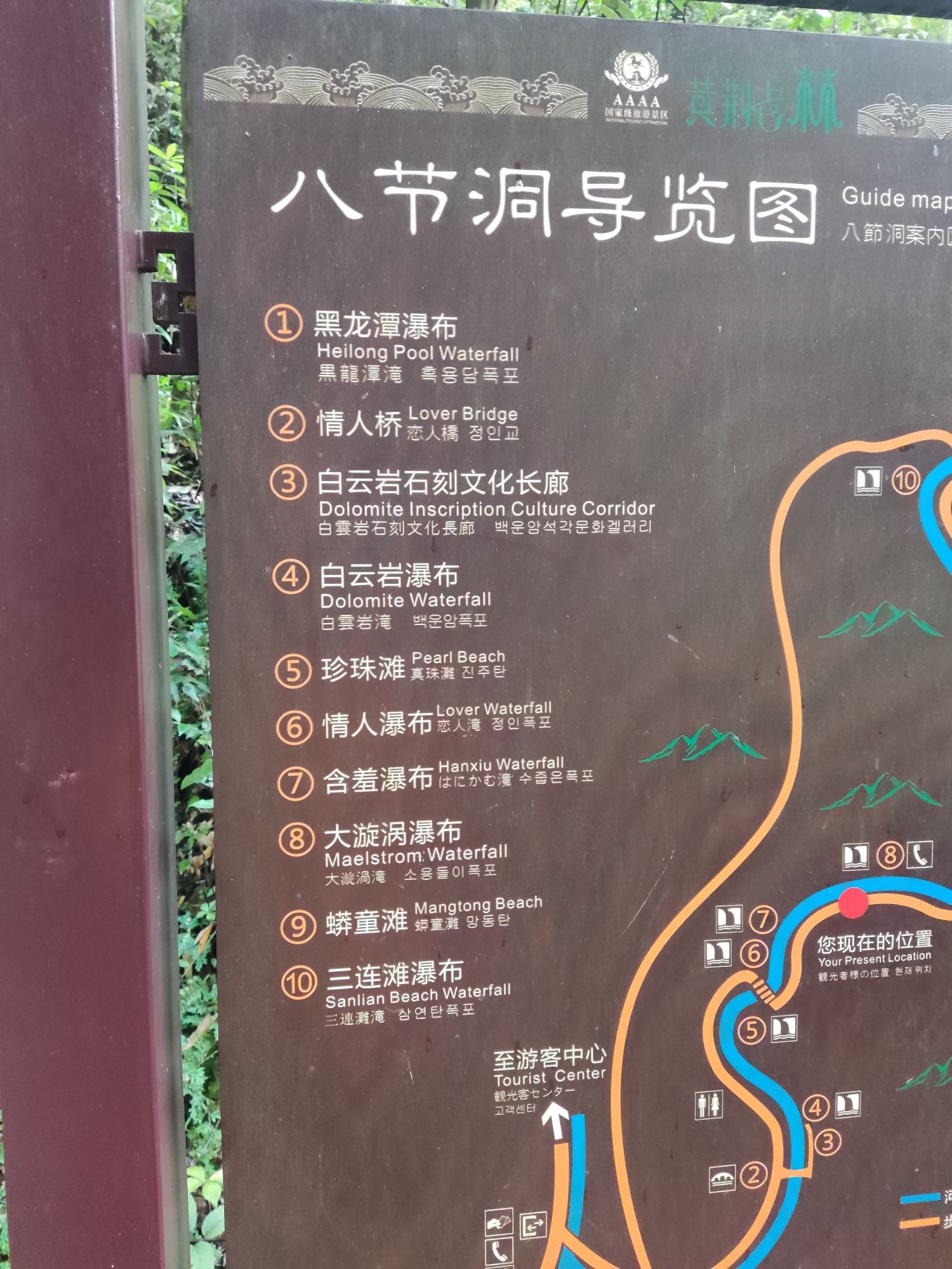 黄荆老林(装修中)旅行图片 1