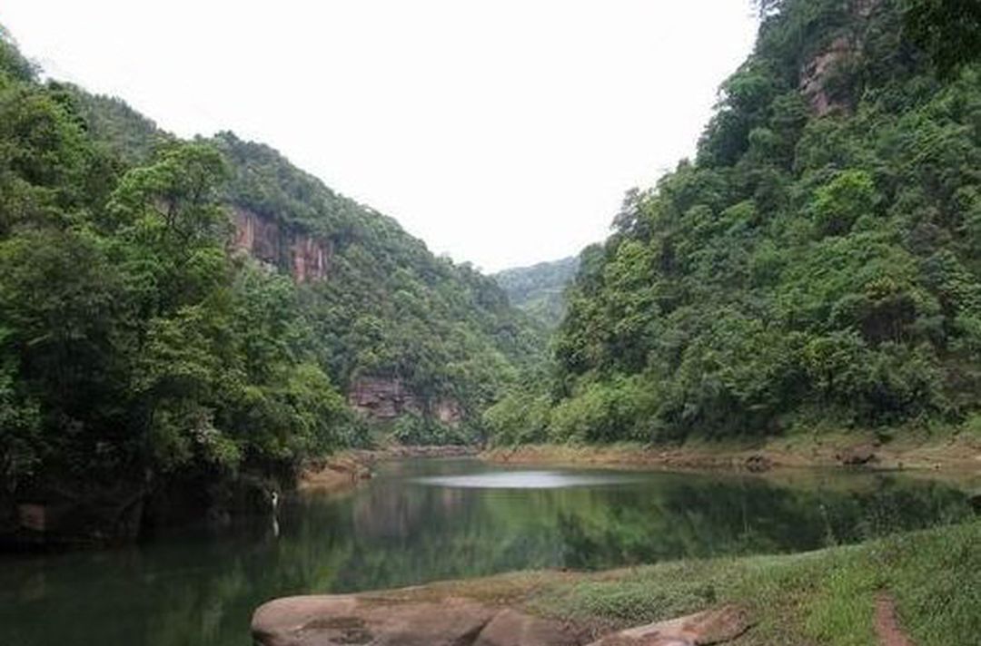 红龙湖森林公园(不对外开放)旅行图片 1