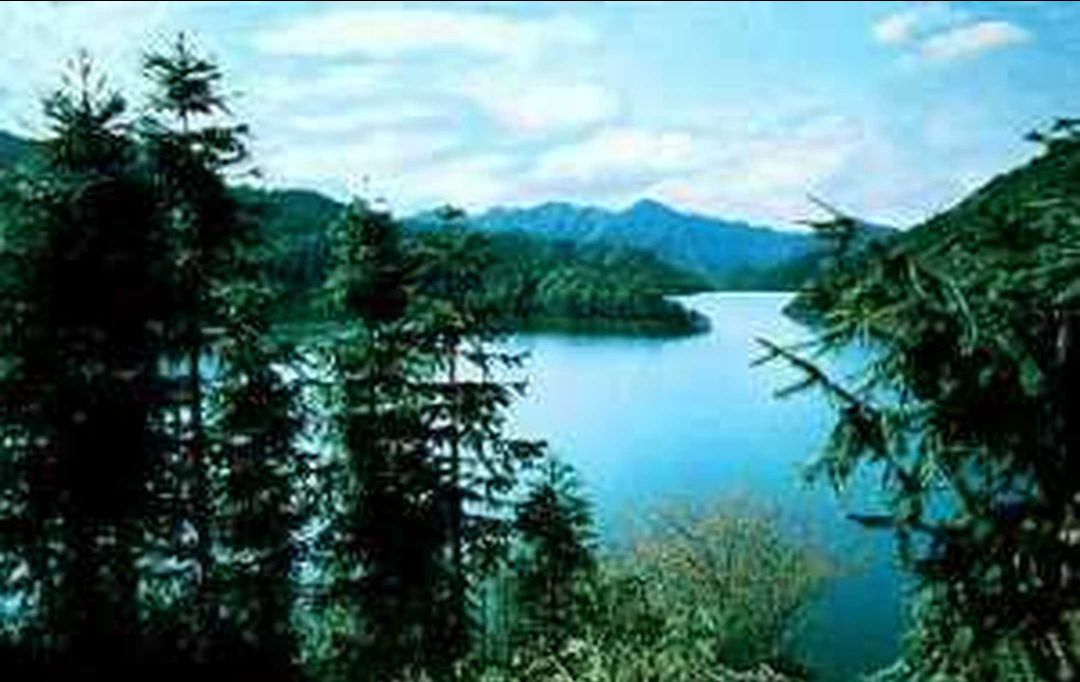 红龙湖森林公园(不对外开放)旅行图片 2