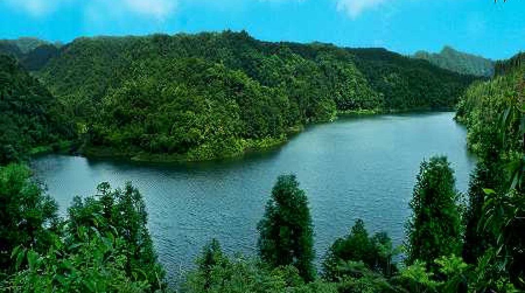 红龙湖森林公园(不对外开放)旅行图片 3