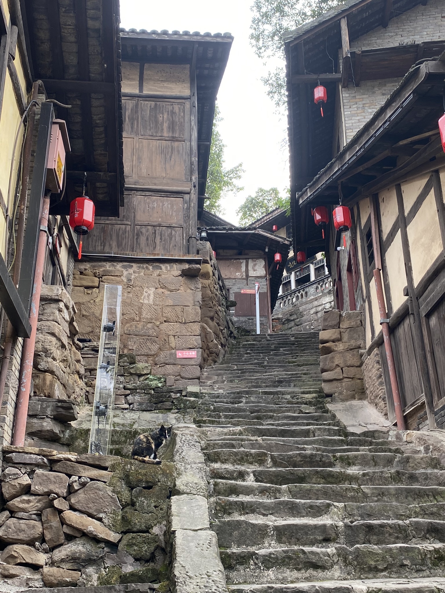 太平古镇旅行图片 1