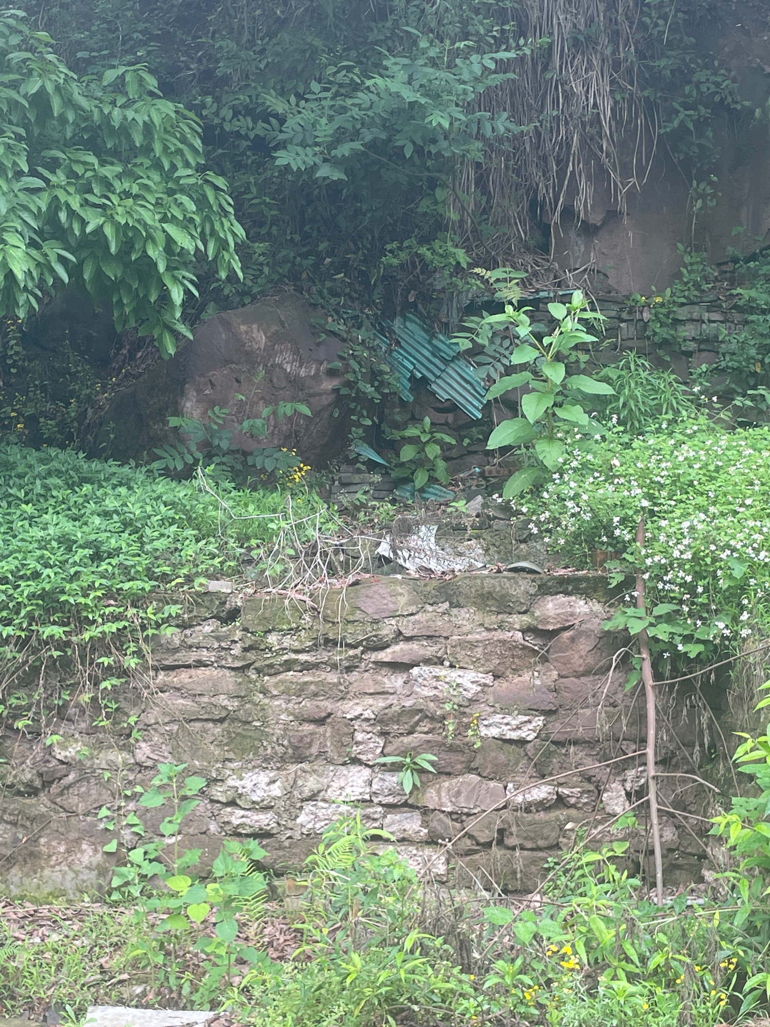 洞窝风景区旅行图片 3