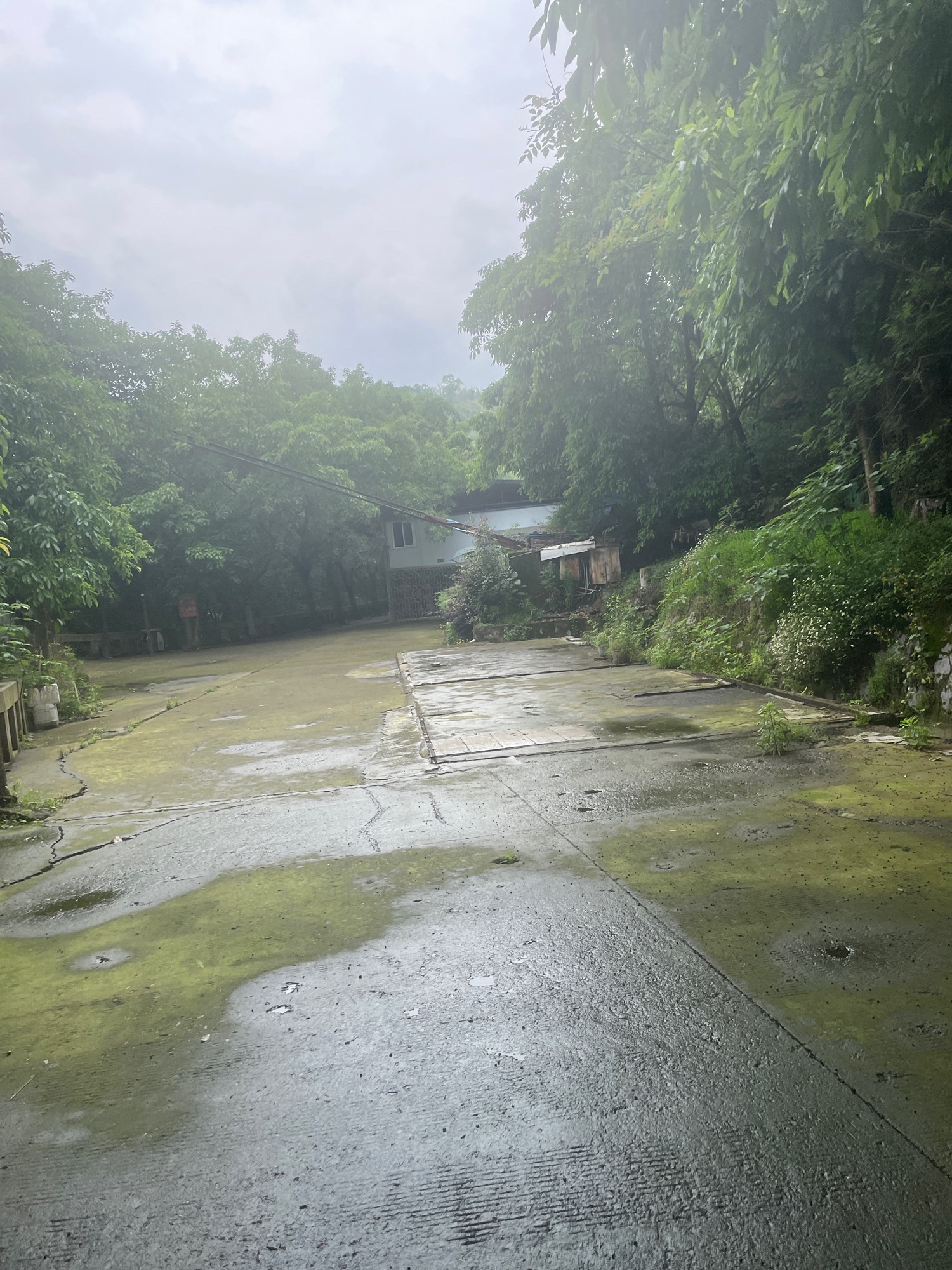 洞窝风景区旅行图片 1