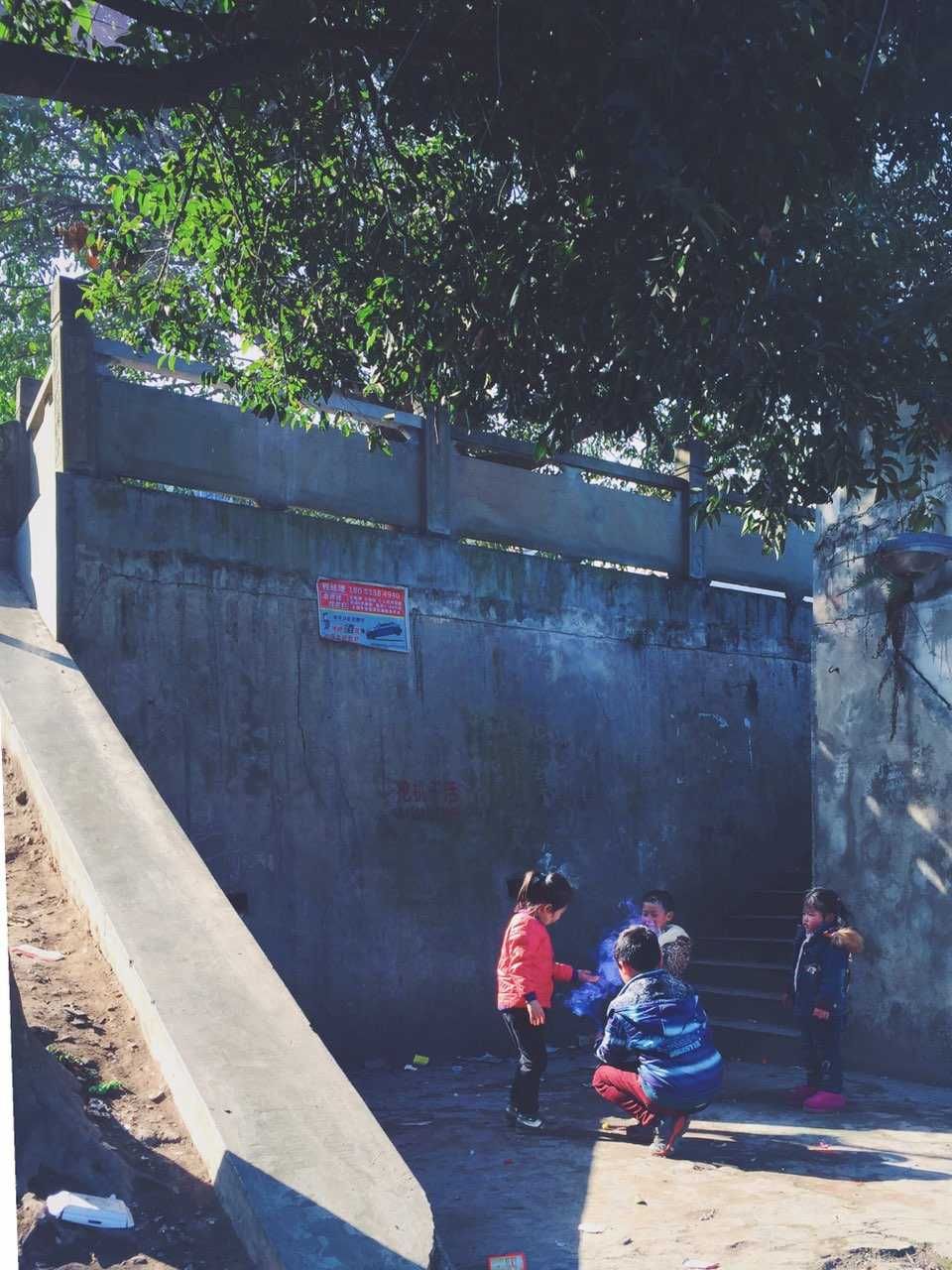 柳湖公园旅行图片 1