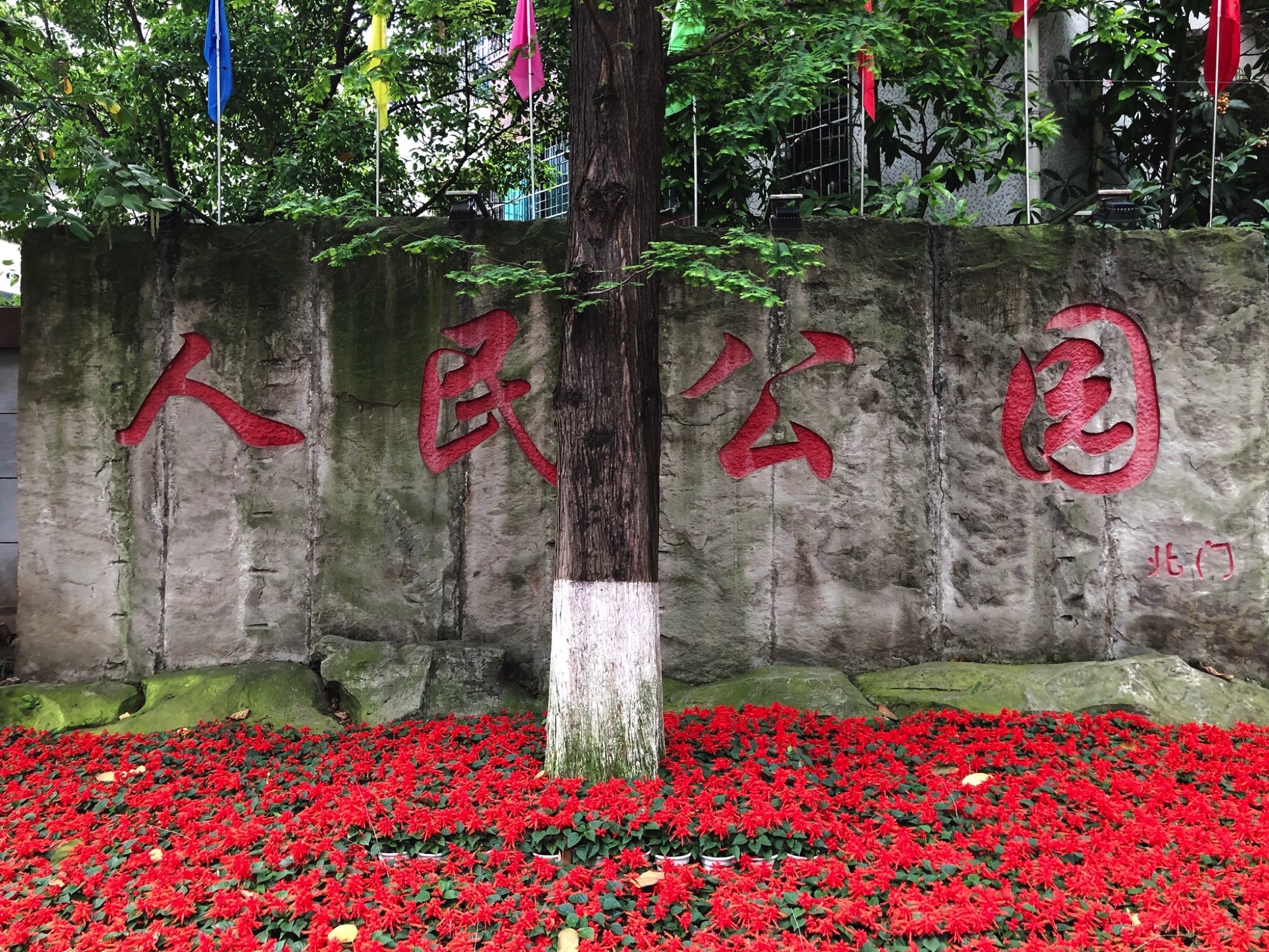 人民公园旅行图片 1
