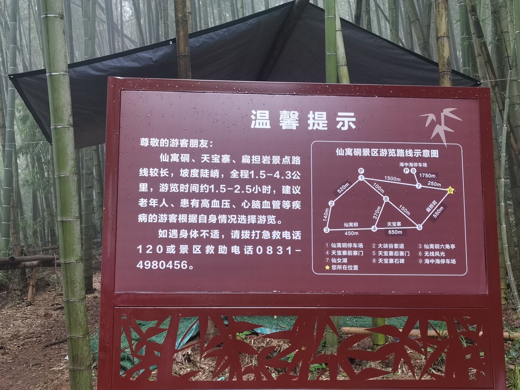 蜀南竹海旅行图片 2