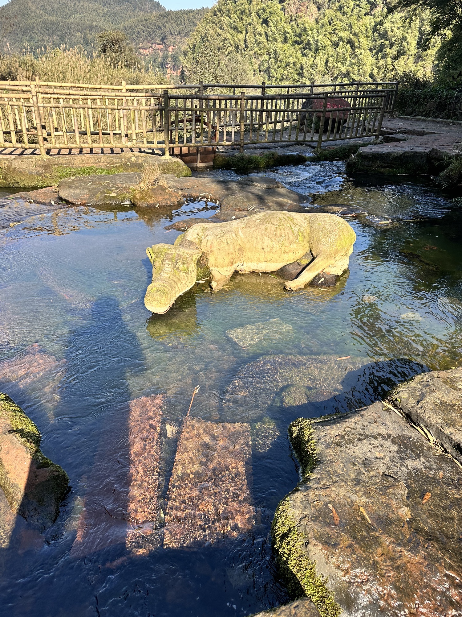蜀南竹海旅行图片 2