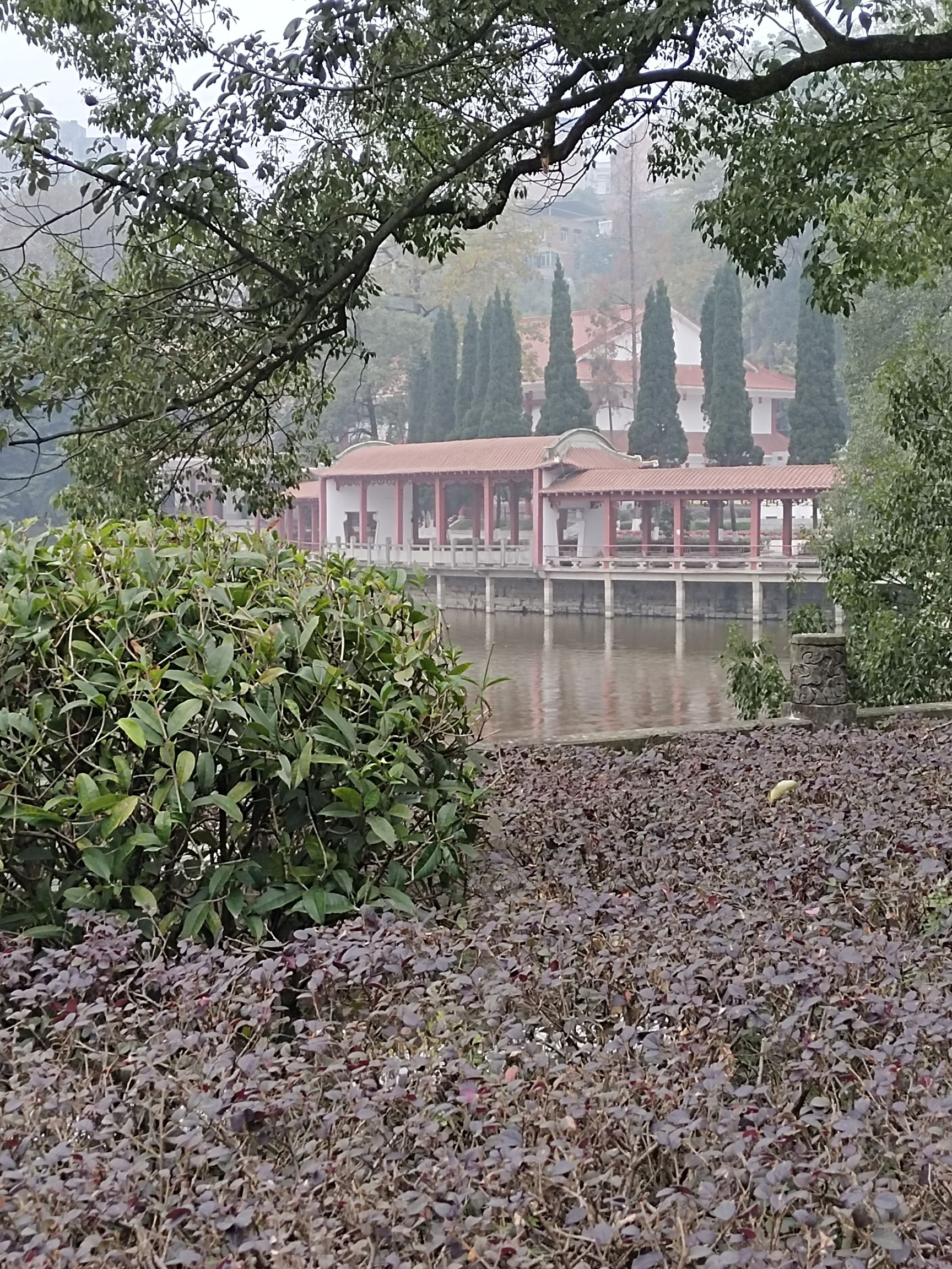 流杯池公园旅行图片 3
