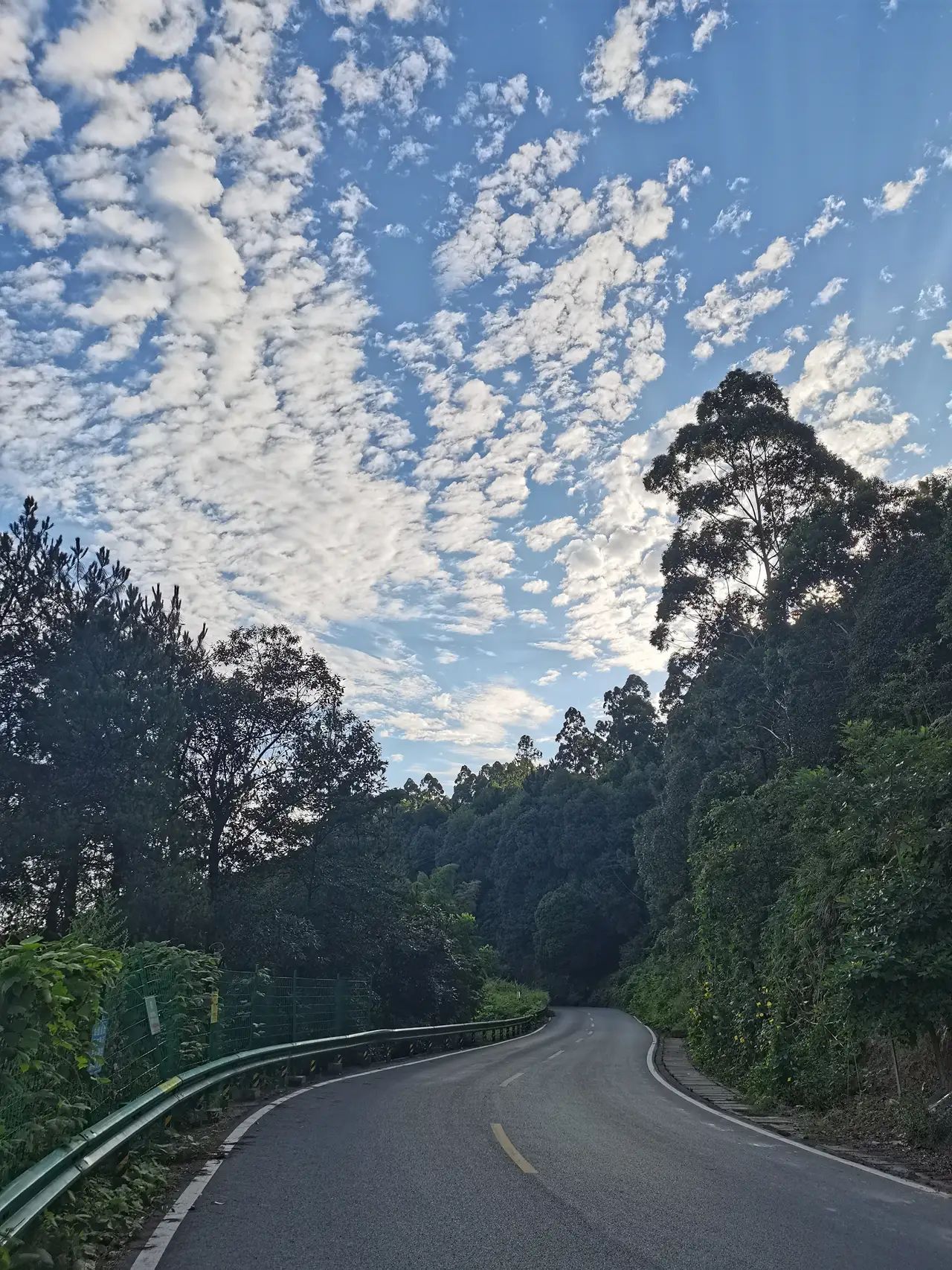 七星山森林公园旅行图片 2