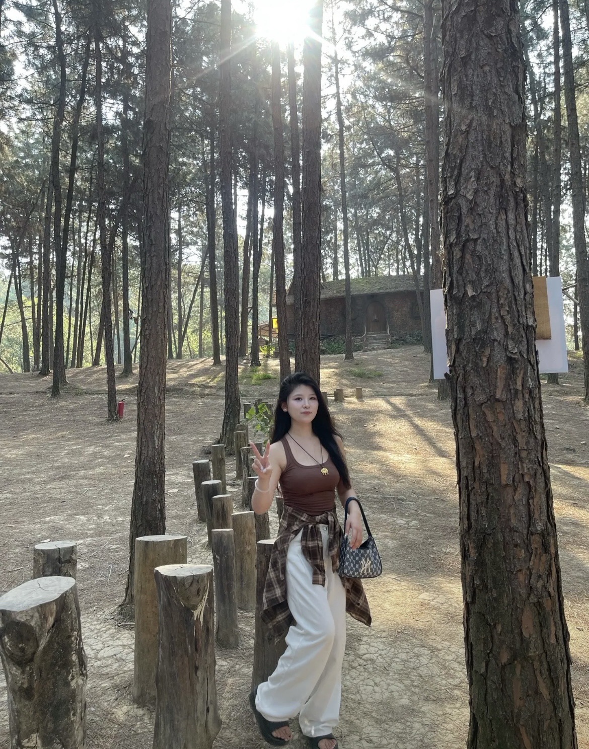 七星山森林公园旅行图片 2
