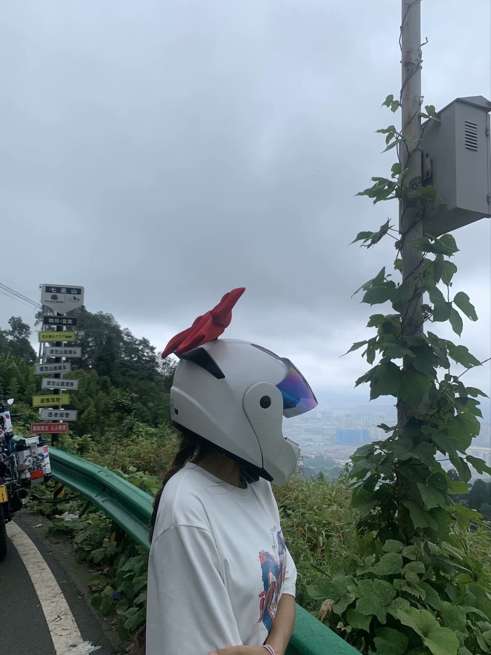 七星山森林公园旅行图片 3