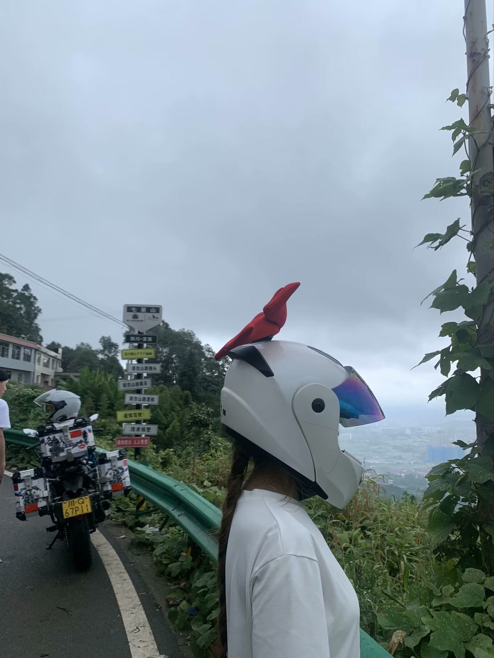 七星山森林公园旅行图片 1