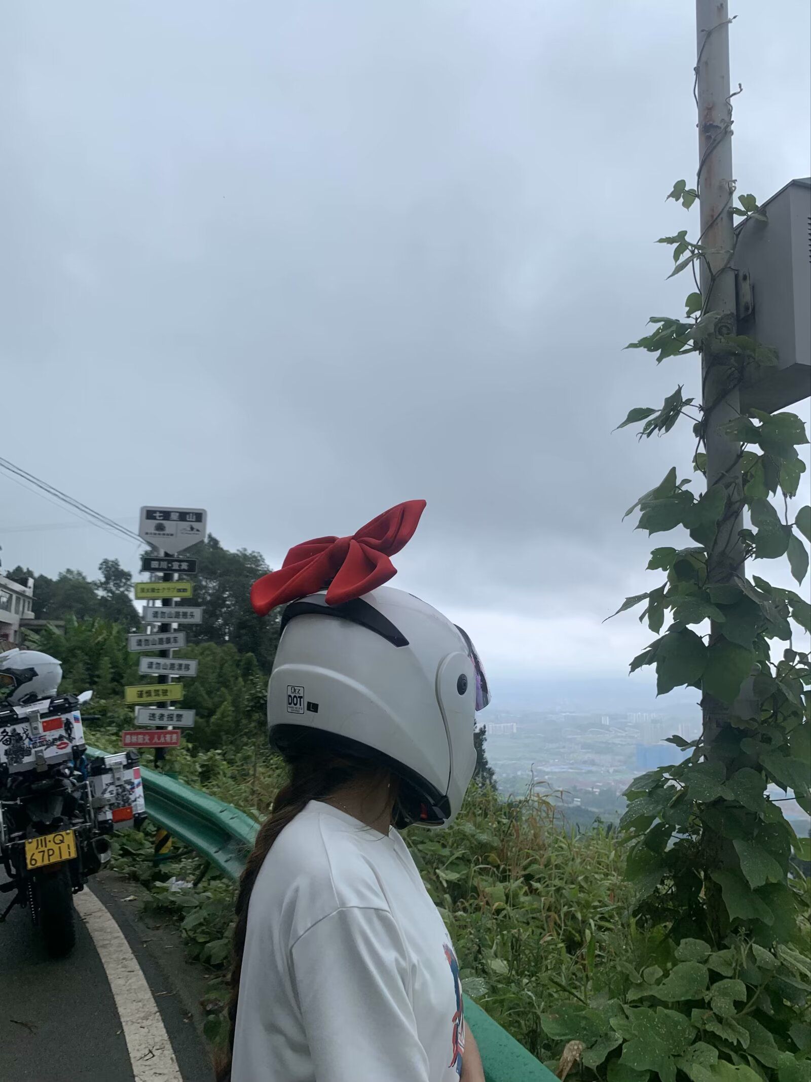 七星山森林公园旅行图片 2