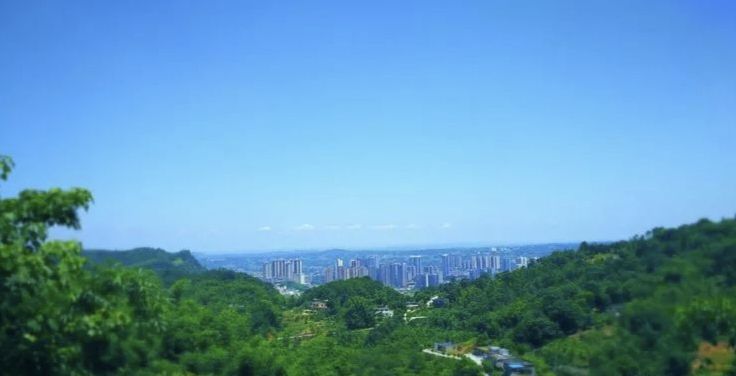 南屏公园旅行图片 2