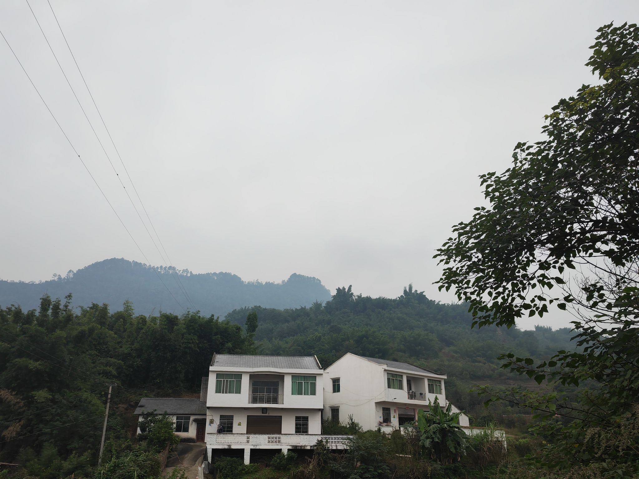 佛来山旅行图片 3