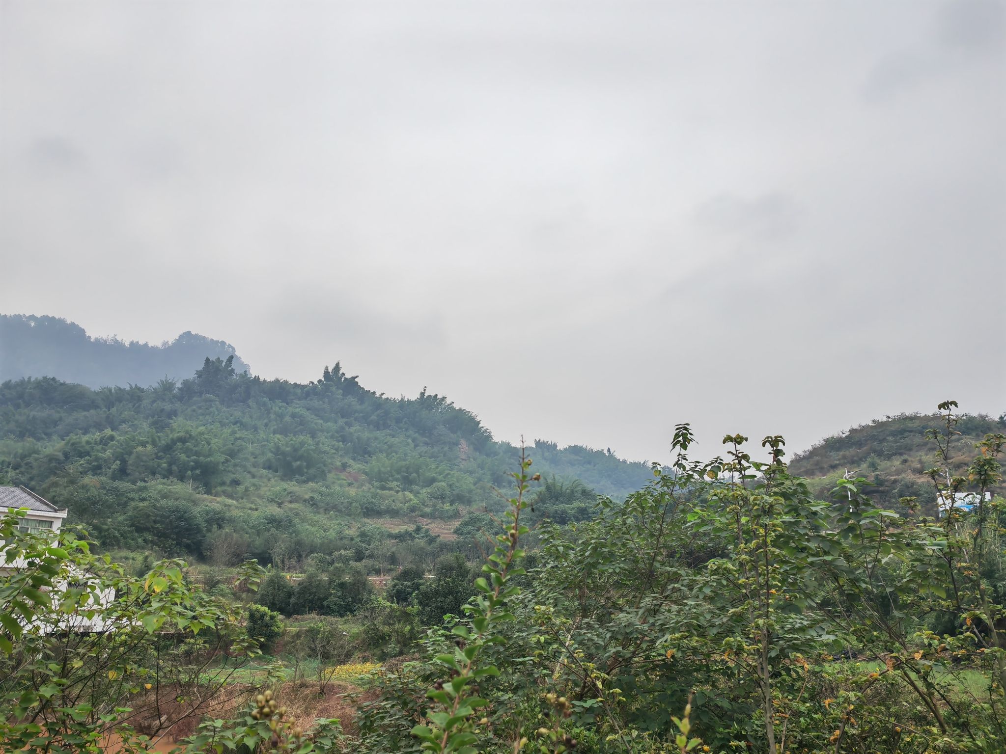 佛来山旅行图片 1