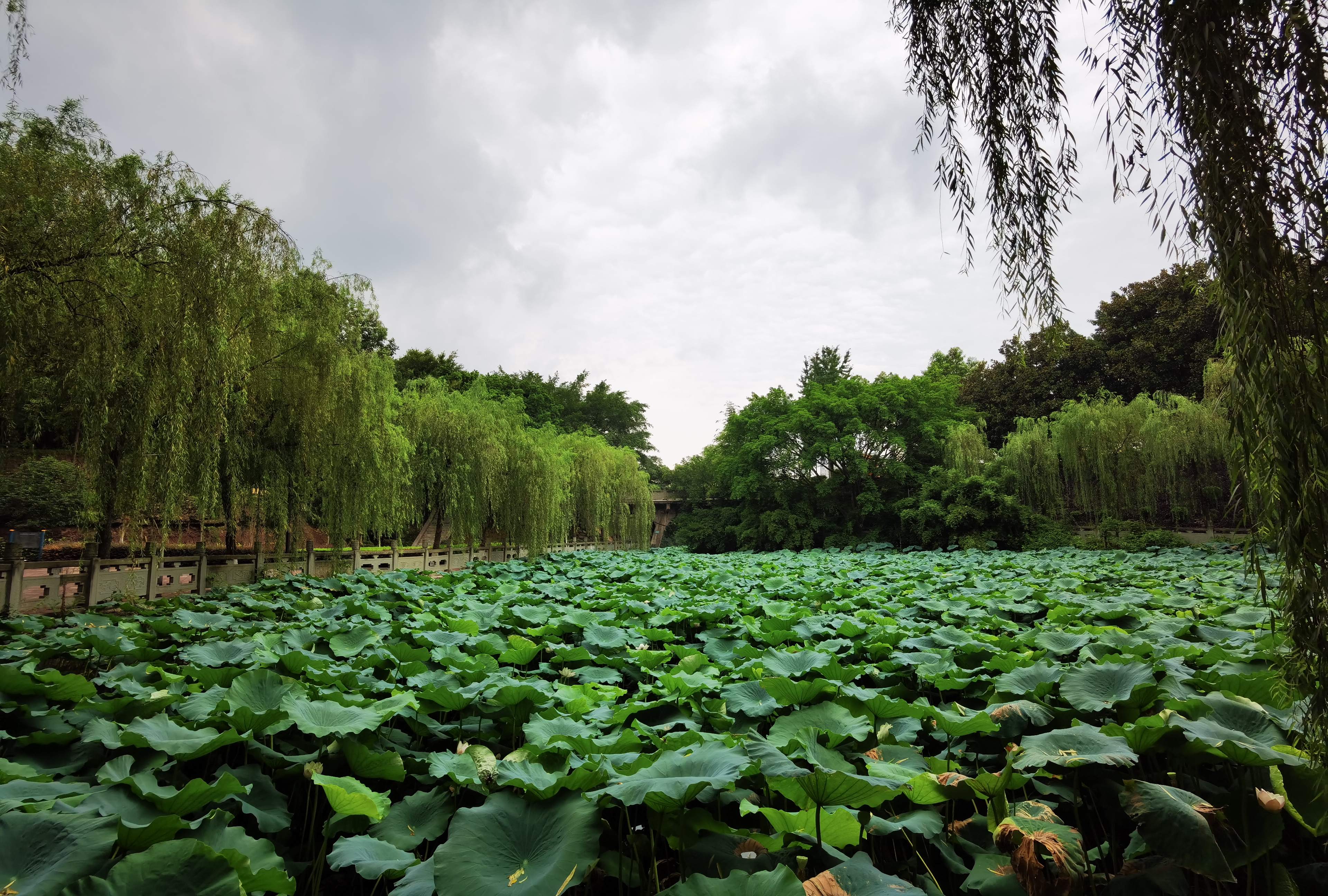 硕勋公园旅行图片 1