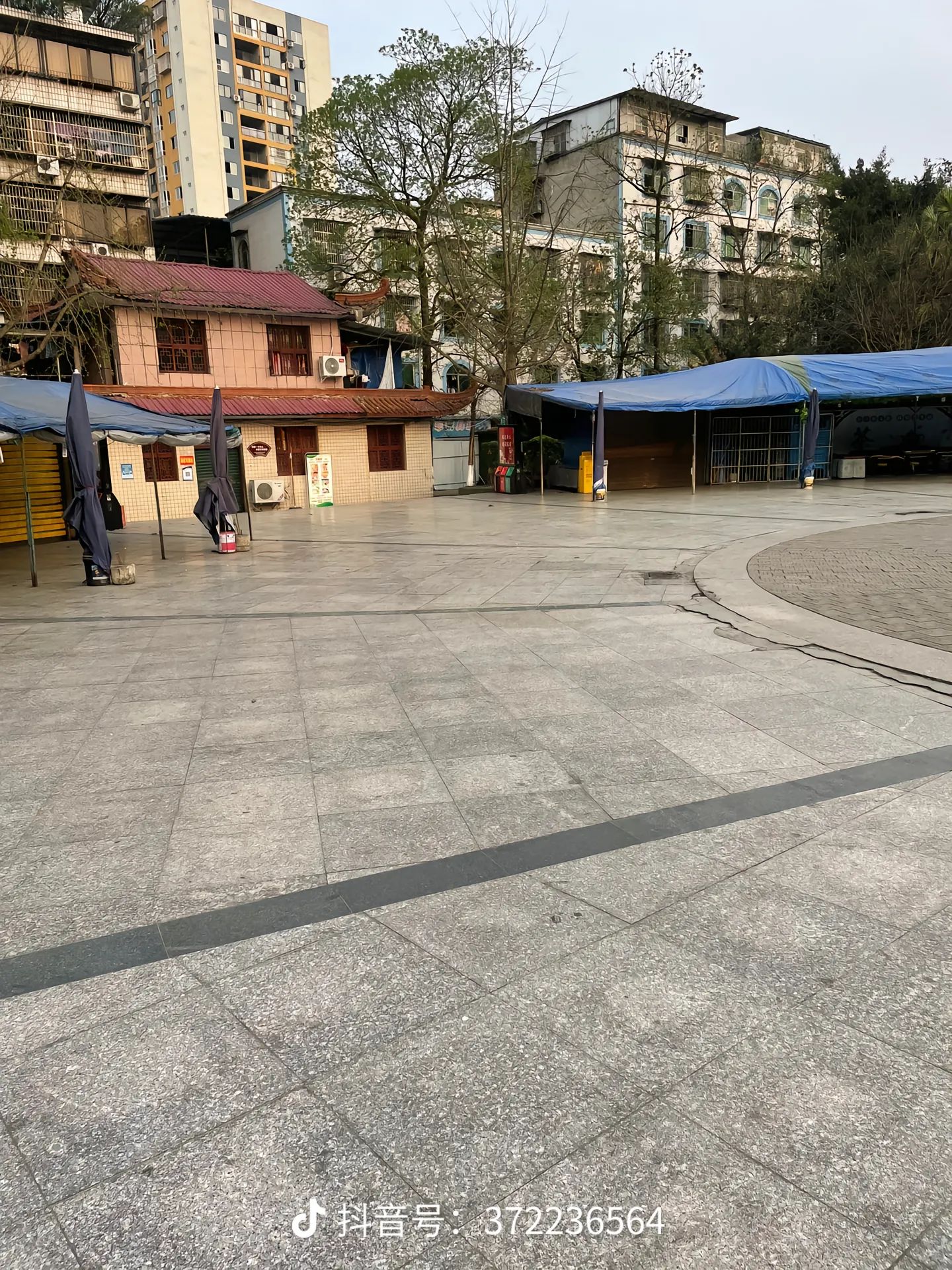 文化公园(建设中)旅行图片 1