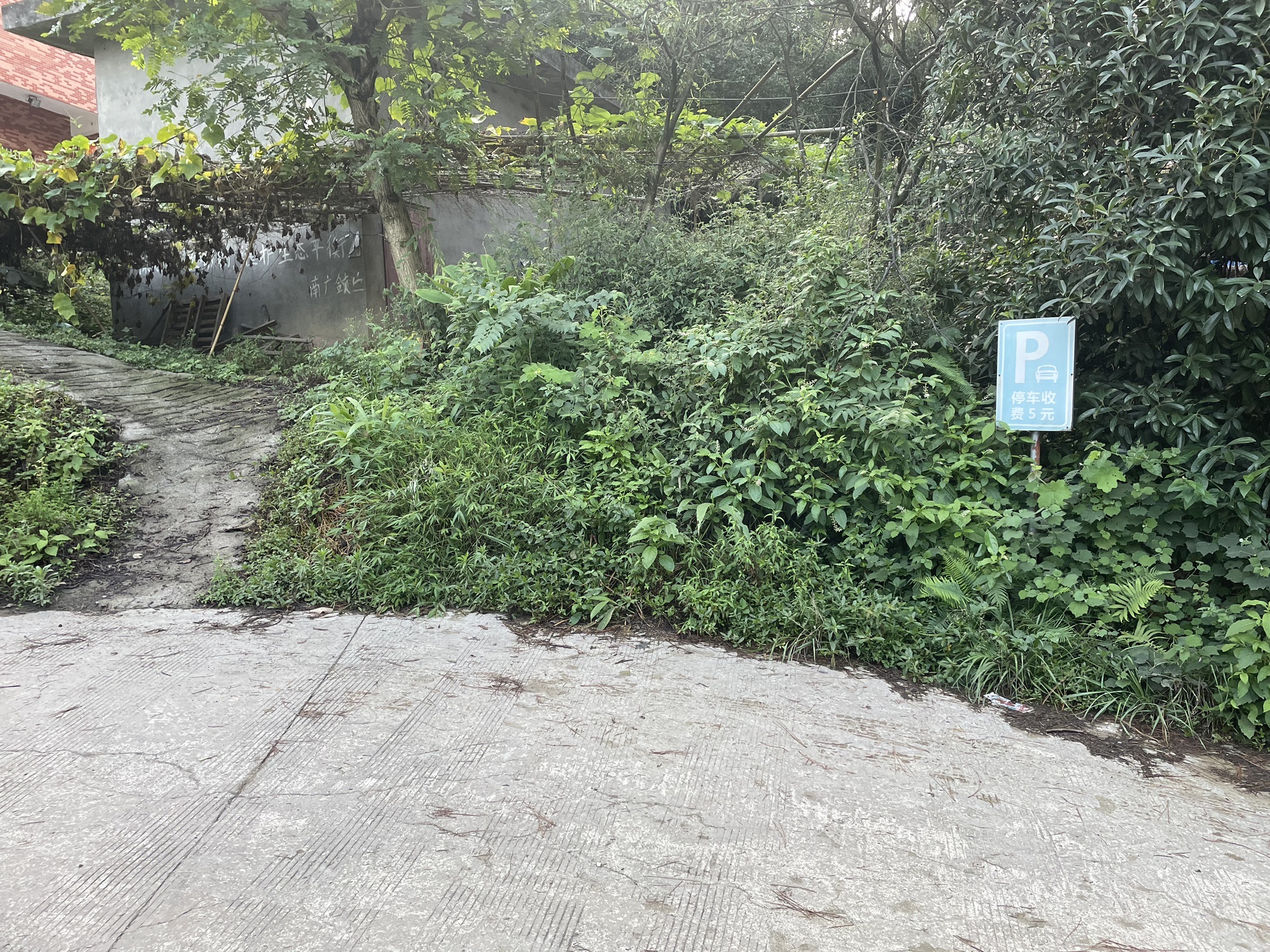 黑塔旅行图片 2