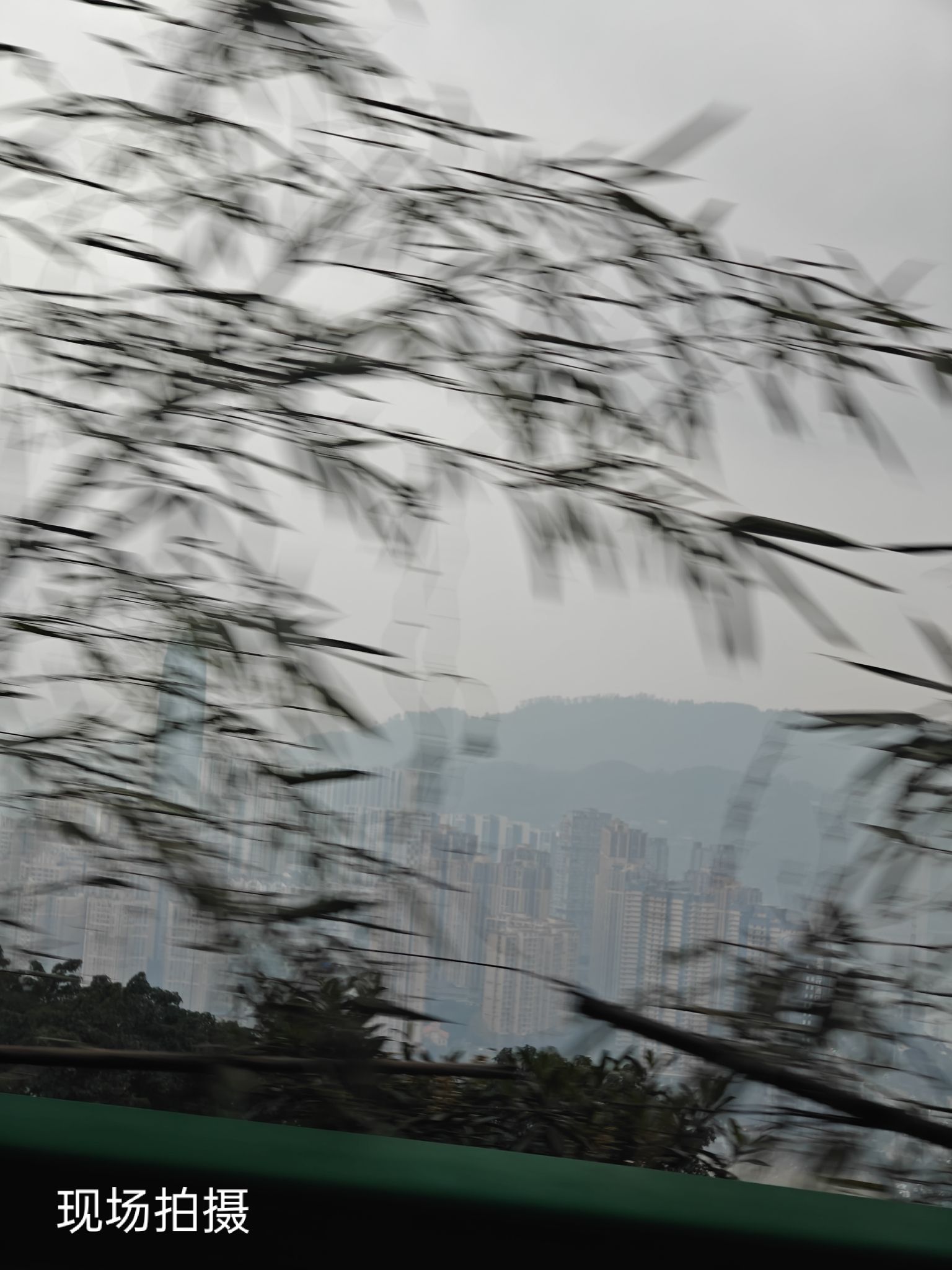 黑塔旅行图片 2