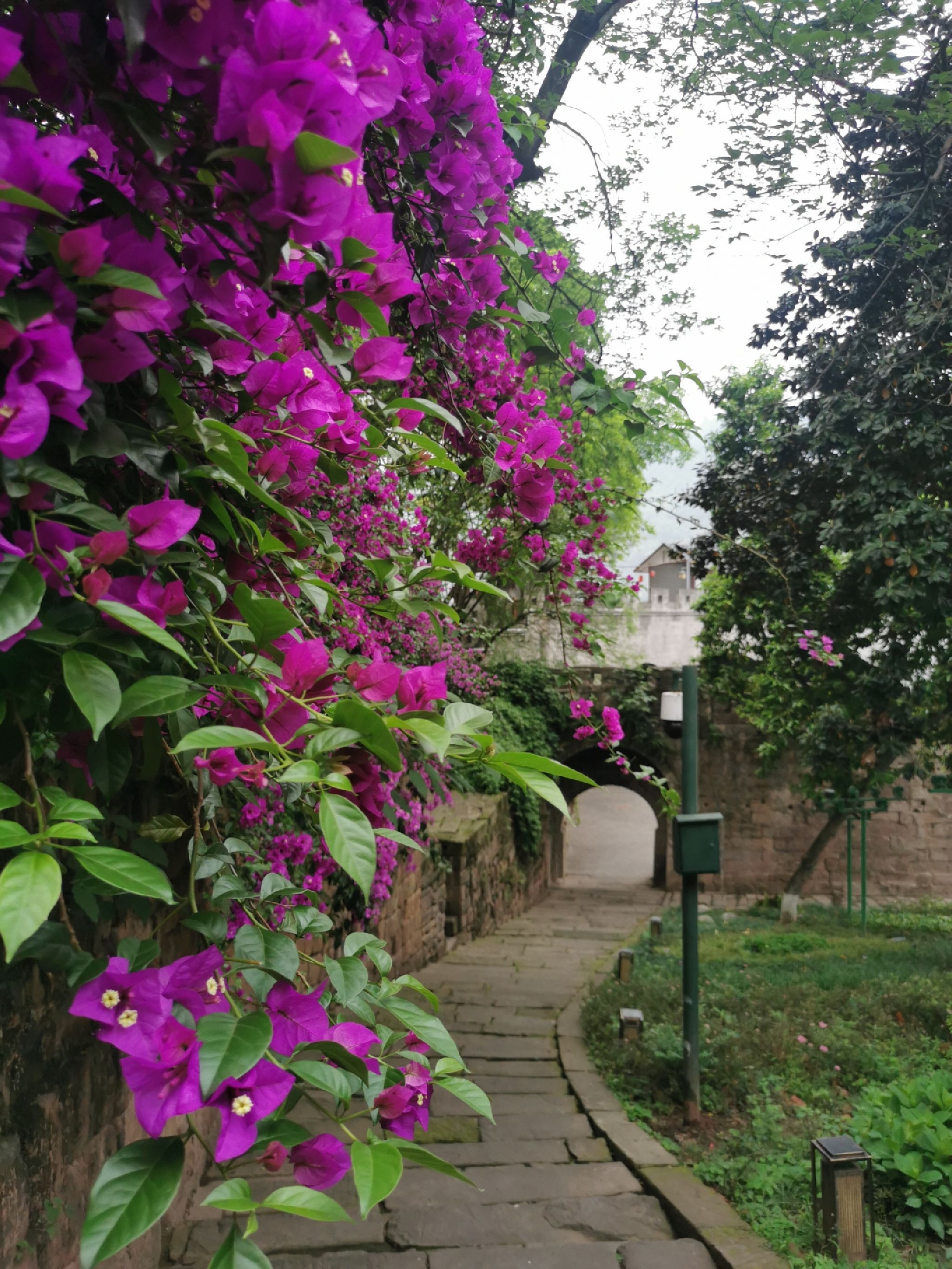 水东门旅行图片 1