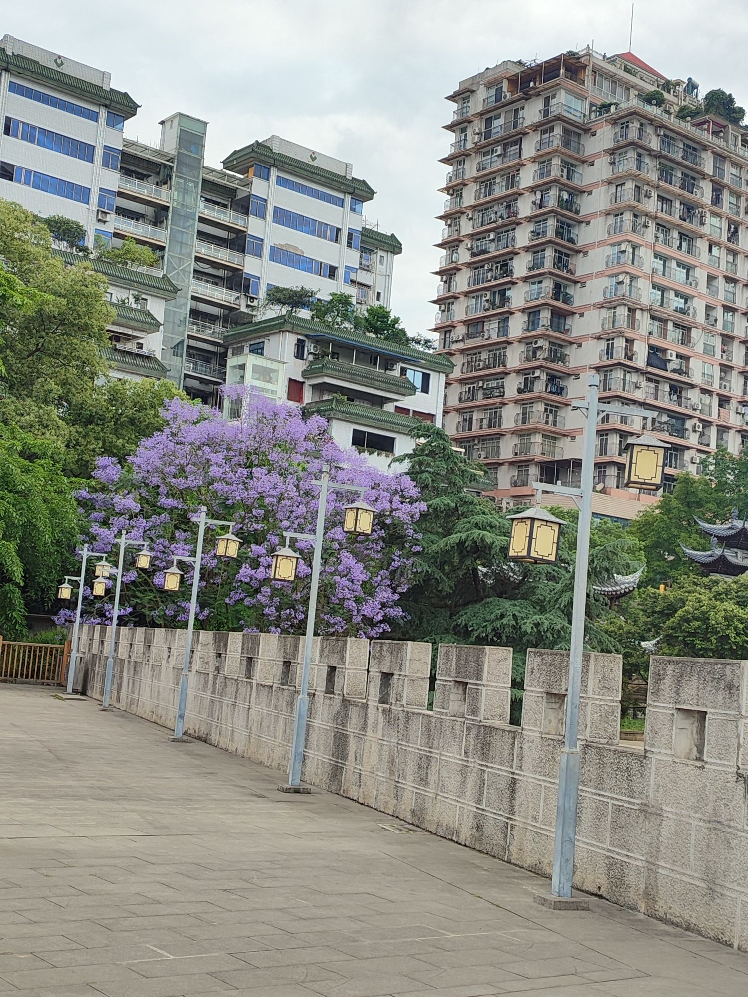 水东门旅行图片 1