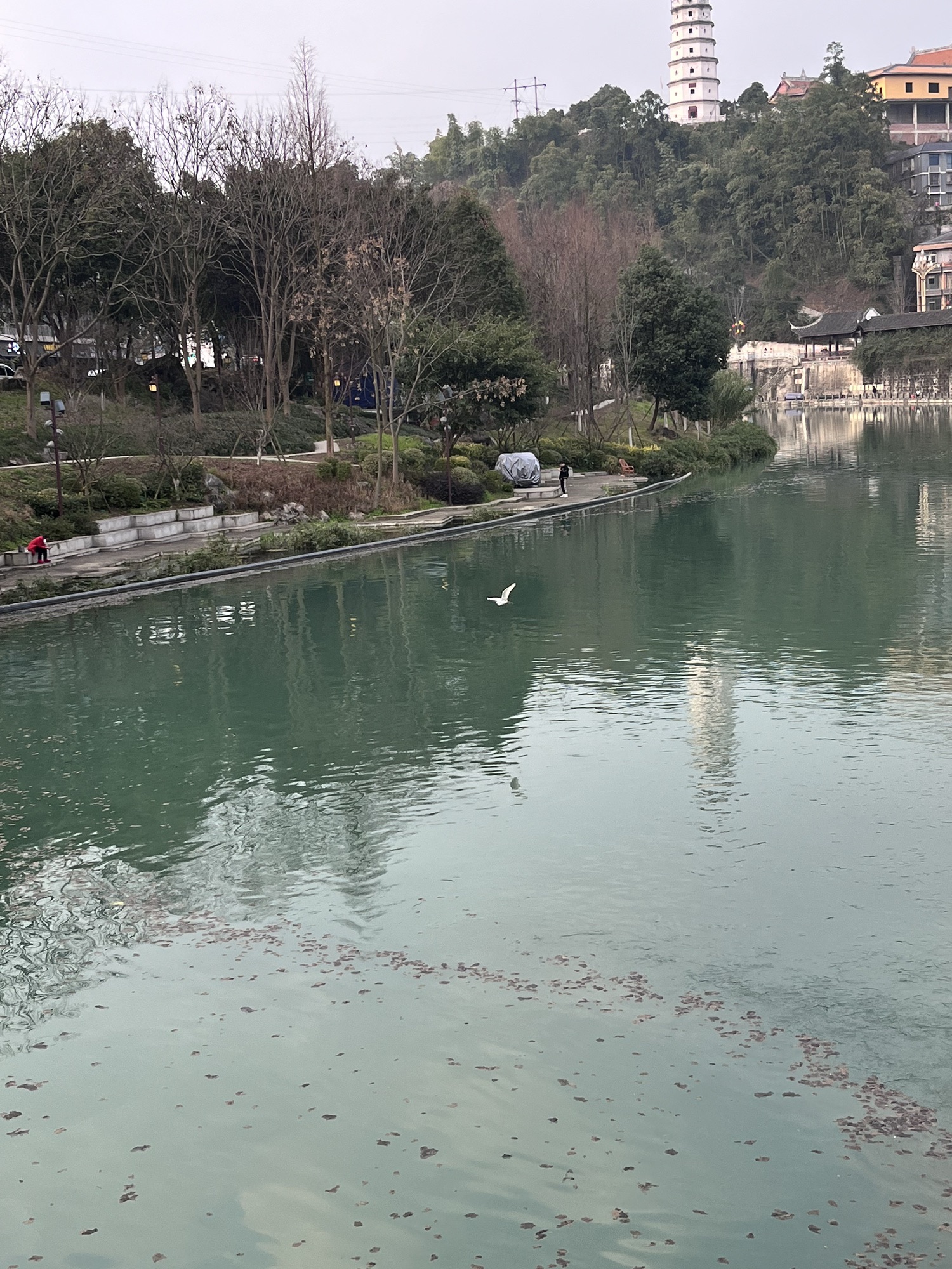 玉壶公园旅行图片 2