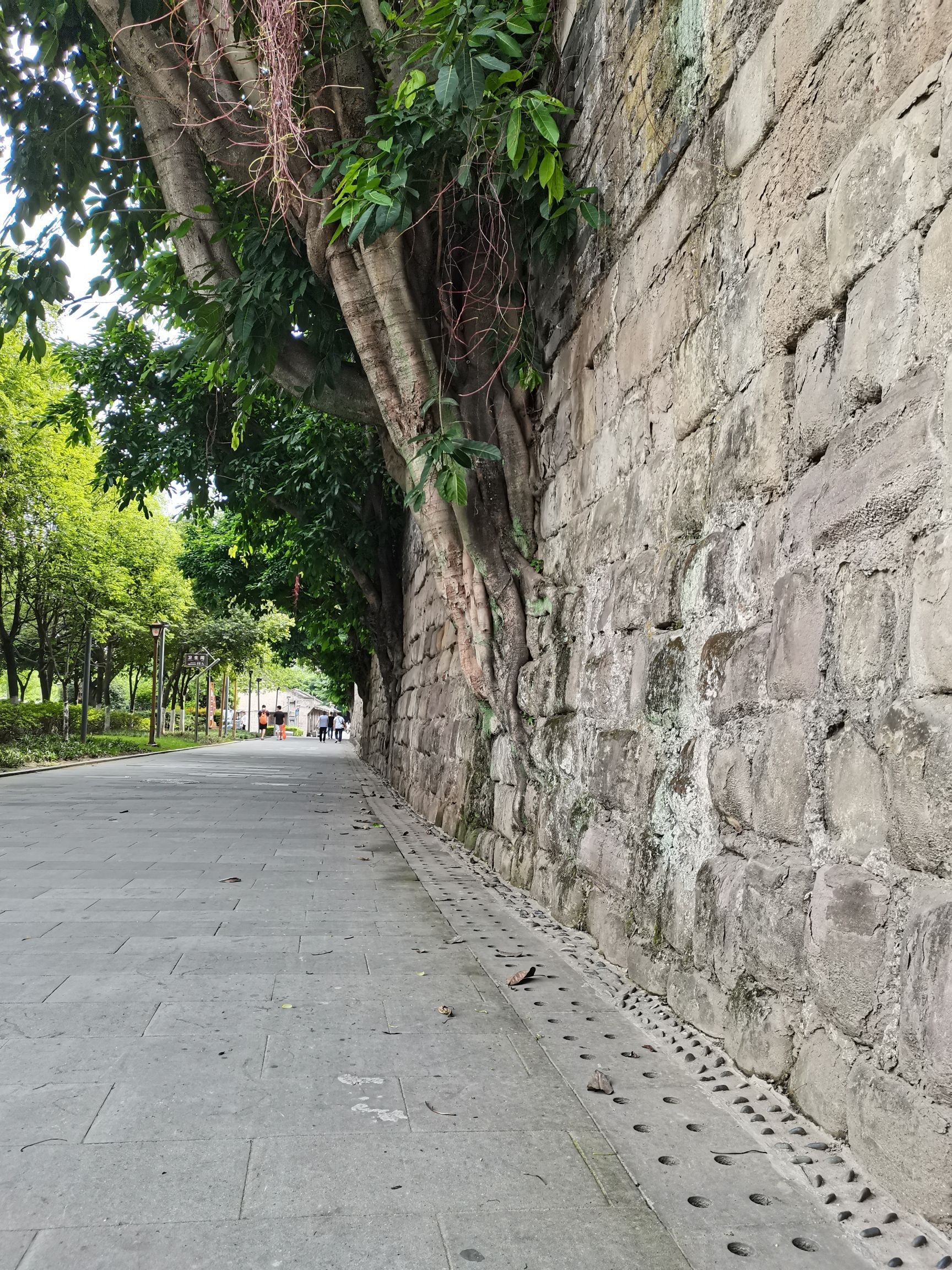 文明门旅行图片 3