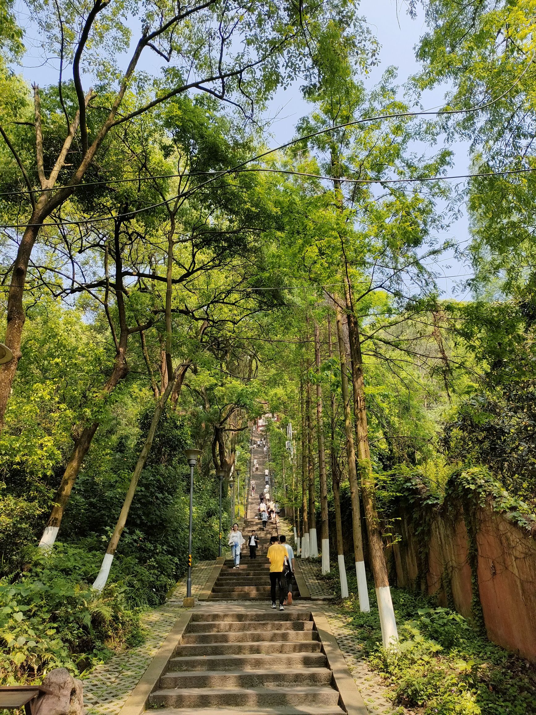 宜宾市翠屏山景区旅行图片 2