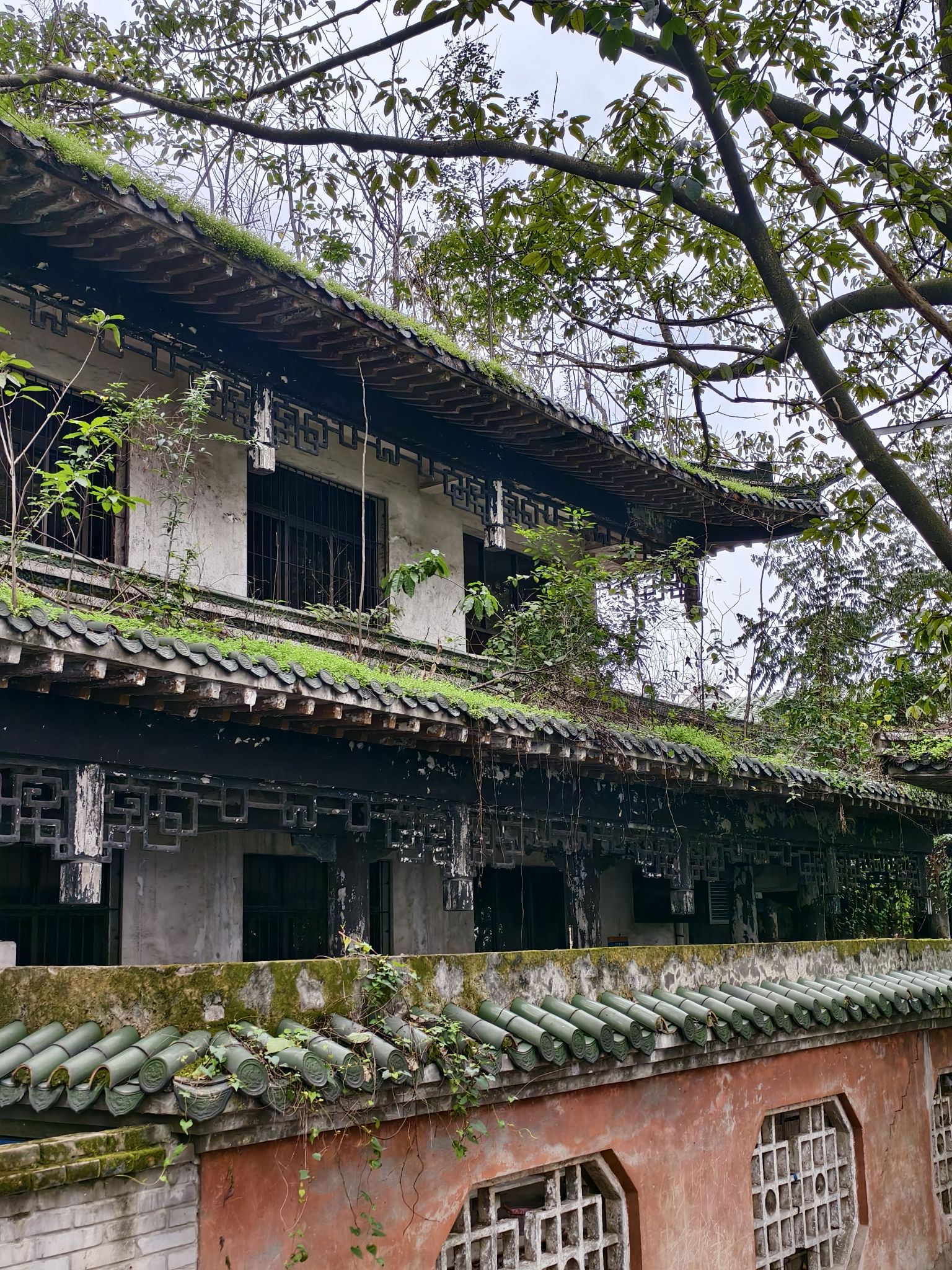 宜宾市翠屏山景区旅行图片 2