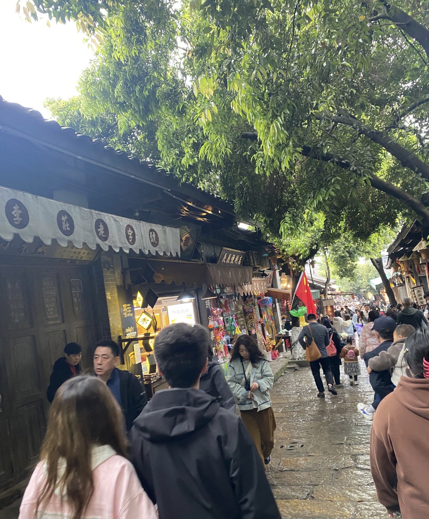 李庄古镇旅行图片 1