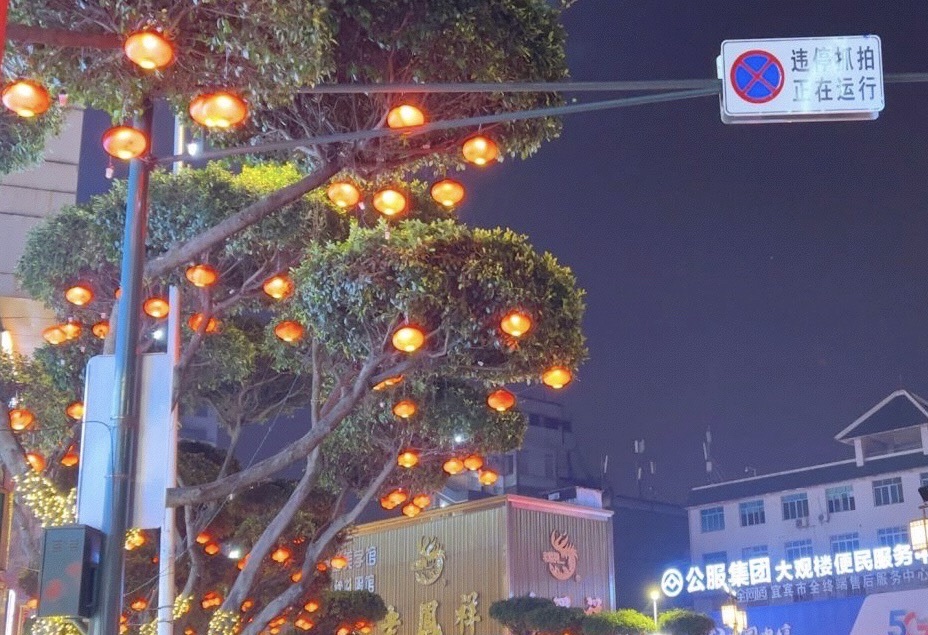 大观楼旅行图片 1