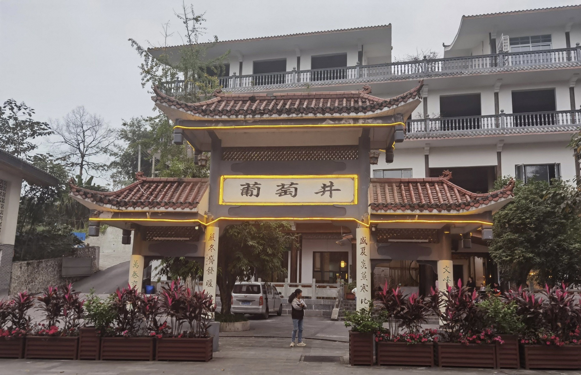葡萄井旅行图片 1