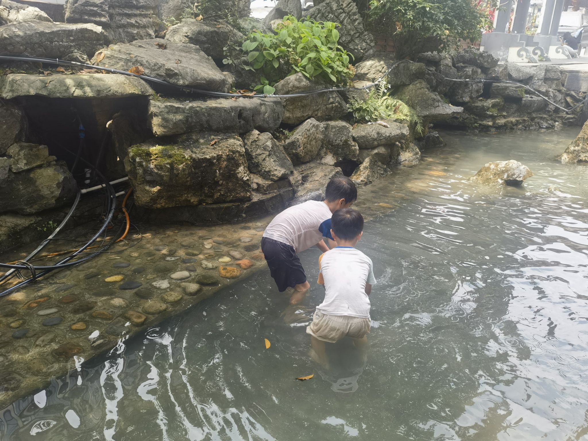 葡萄井旅行图片 2